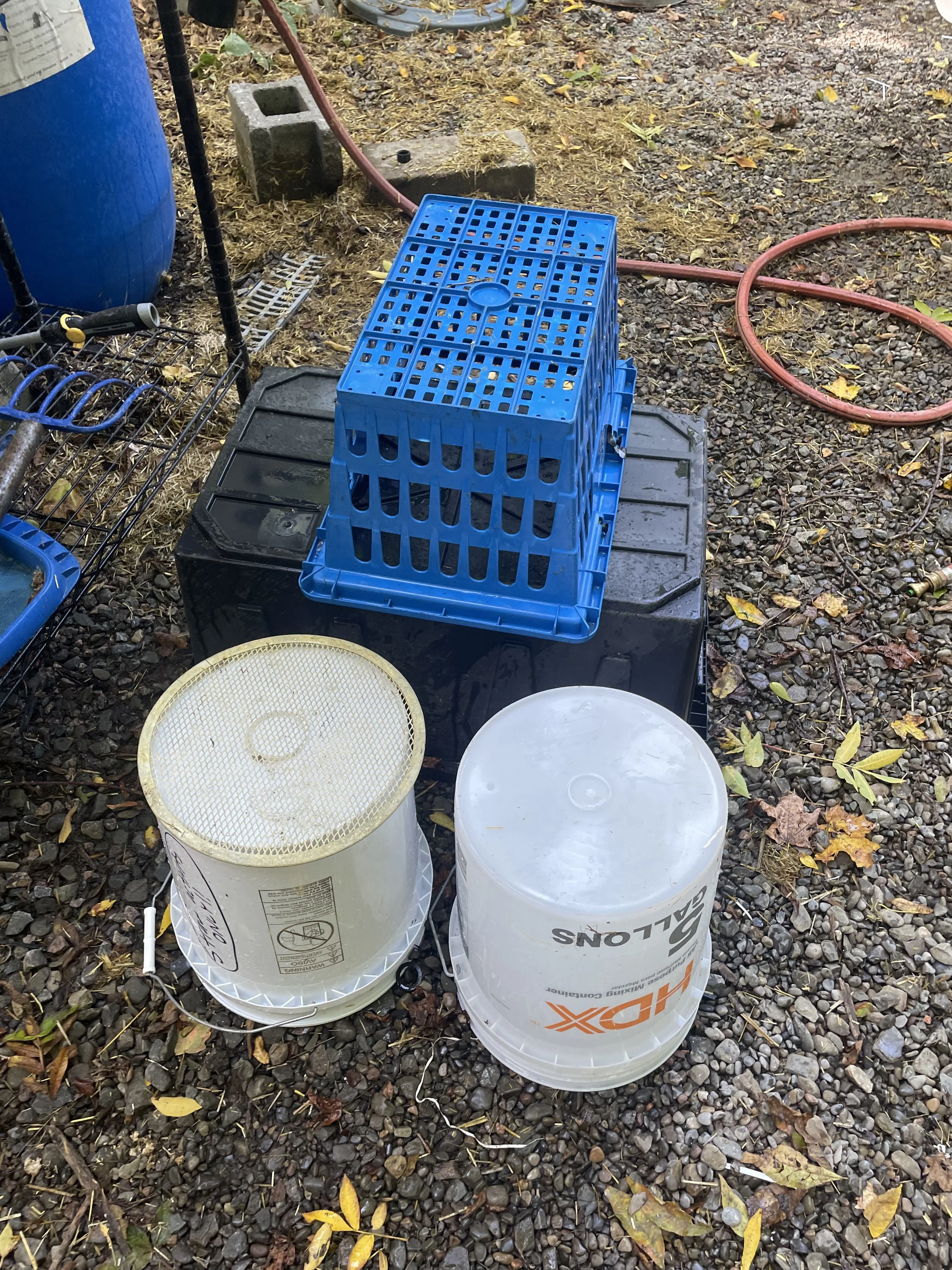 Items you need to gather: two CLEAN 5 gallon buckets, a tote and something to drain straw. 