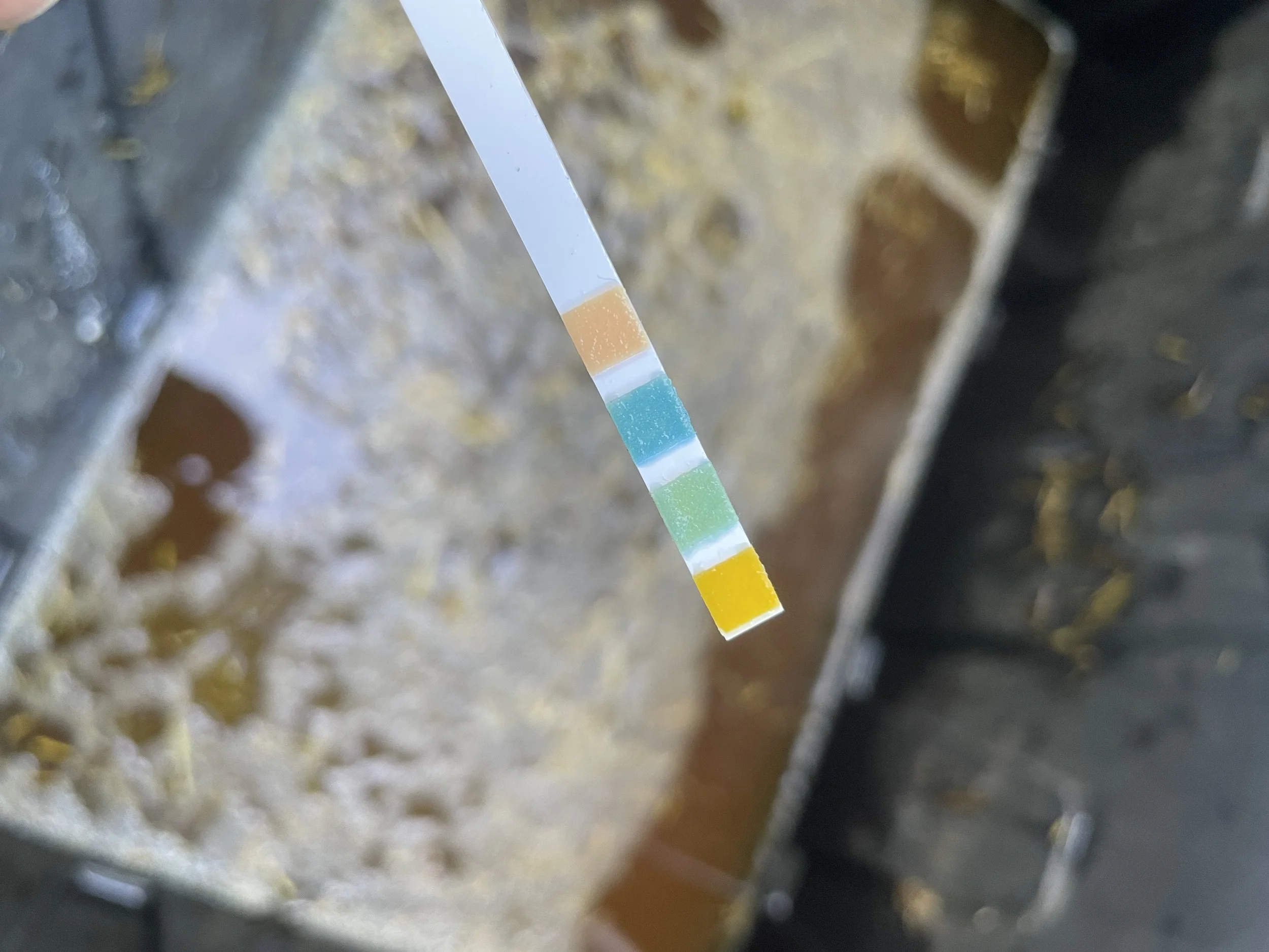 before dumping water, neutralize so it doesn't hurt plants or soil, by adding citric acid. pH stroup should read near neutral. Add slowly, mix, and check multiple times. 