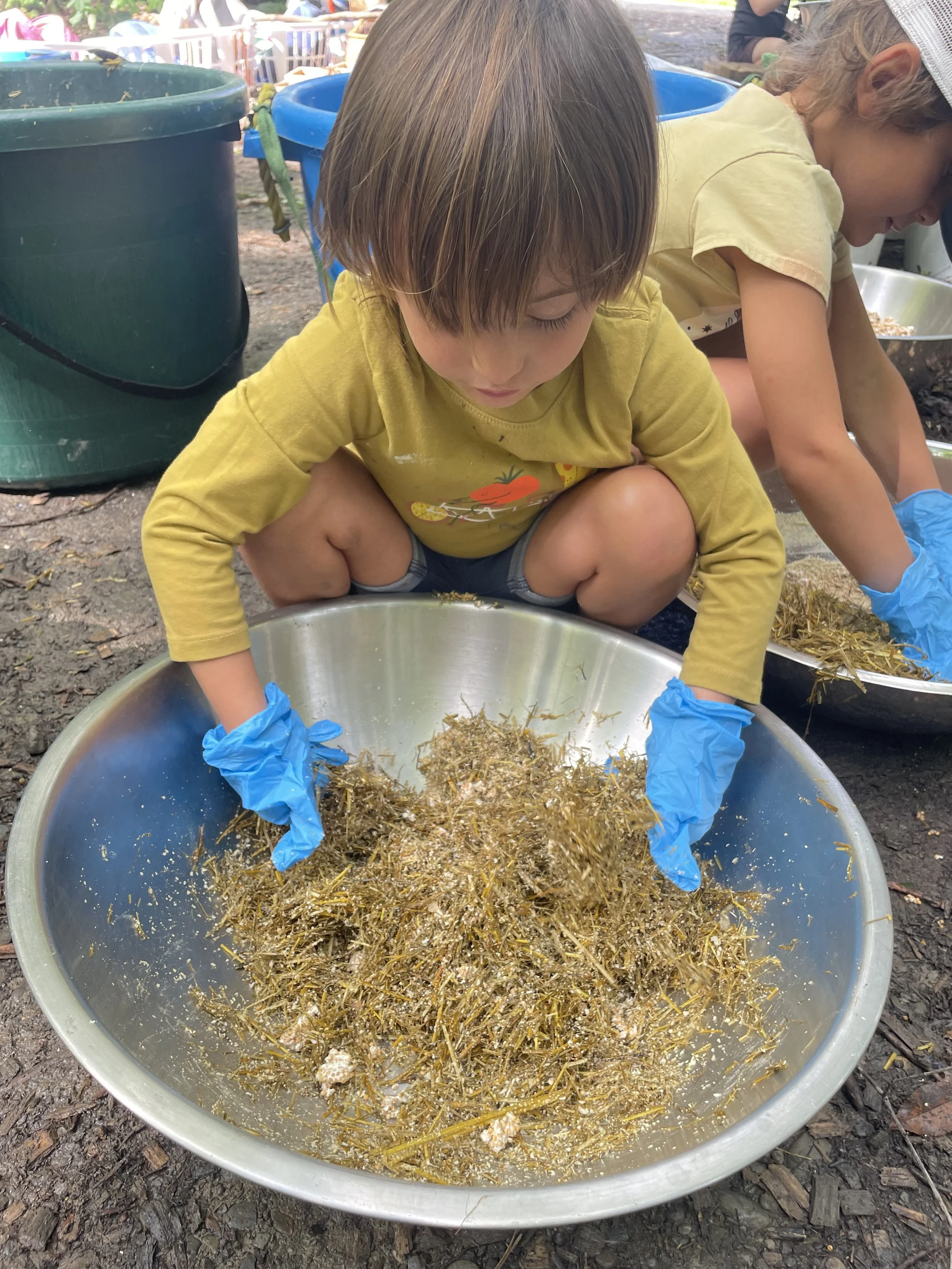 After draining, use gloves and mix straw, soy hulls, and spawn. 
