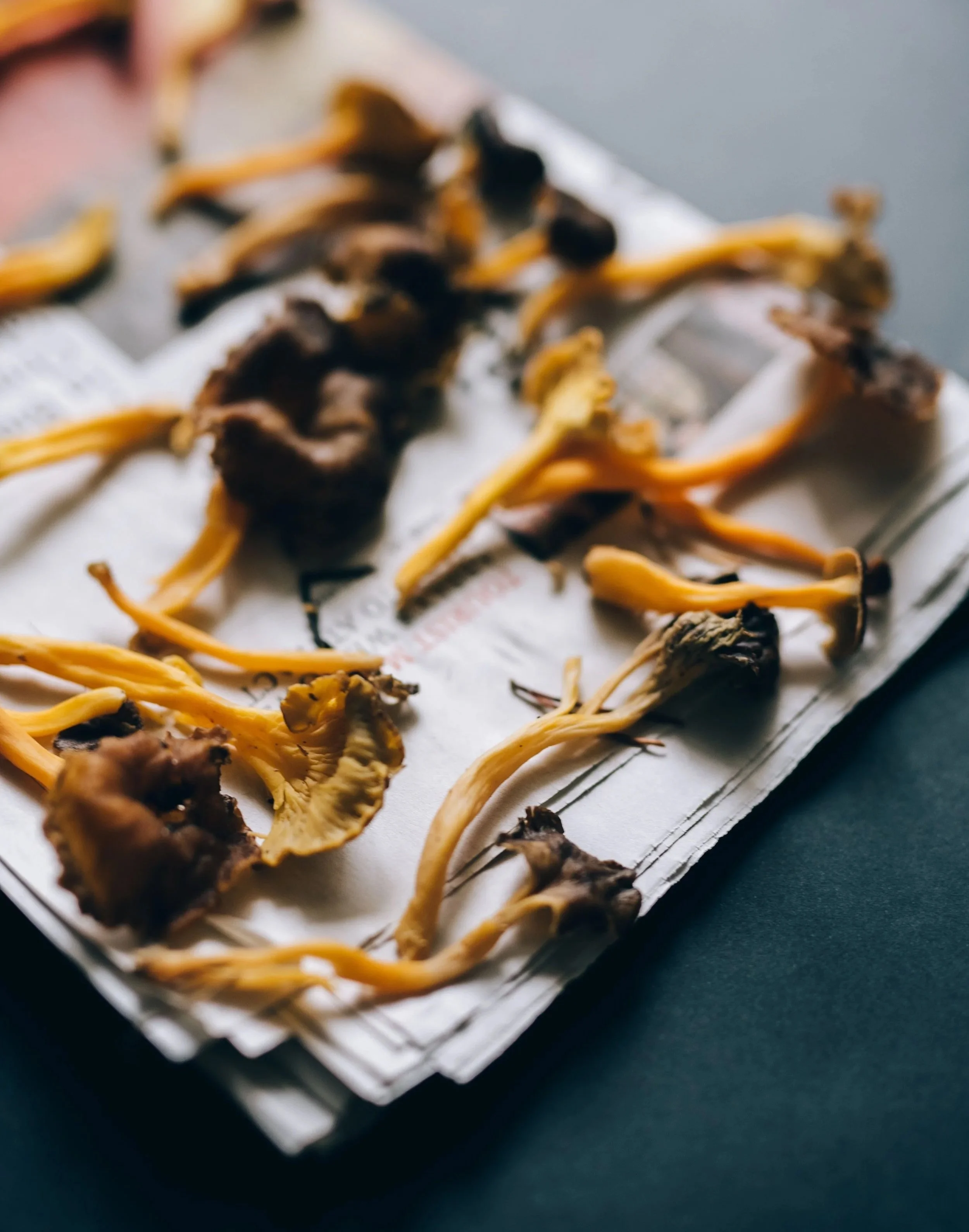 Preservation by Dehydrating