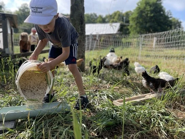Learn — Wellspring Forest Farm