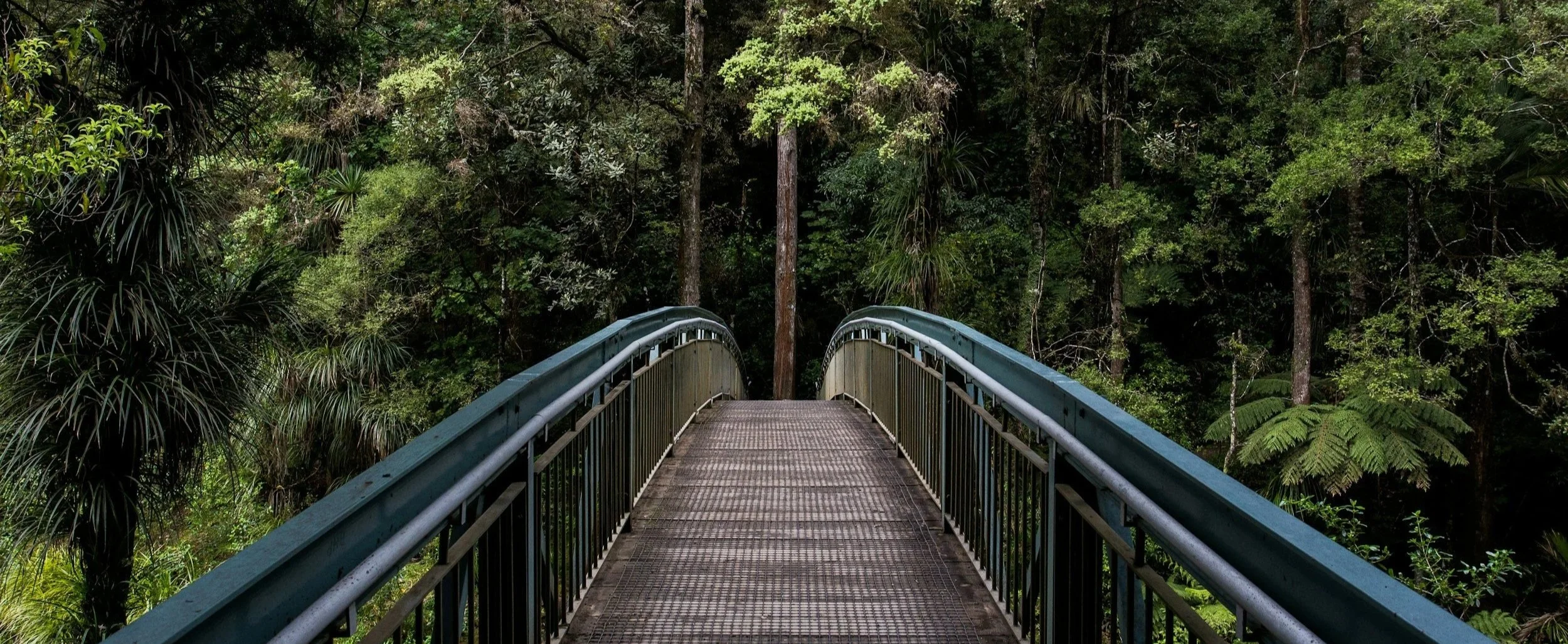 The Bridge | February 2026