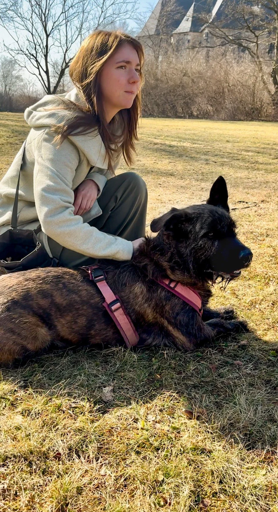 Frau im Park, sitzt auf Gras mit einem großen Hund in pinkem Geschirr, sonniger Tag, Bäume im Hintergrund.