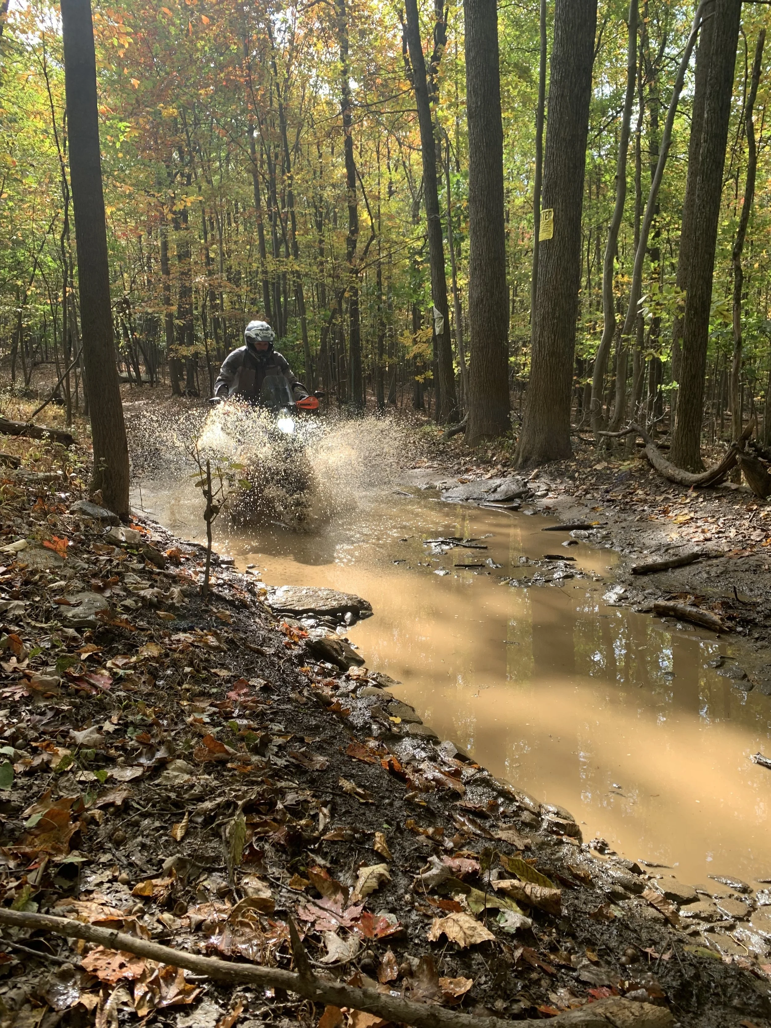 Riding my old KTM 990 ADV (2021)