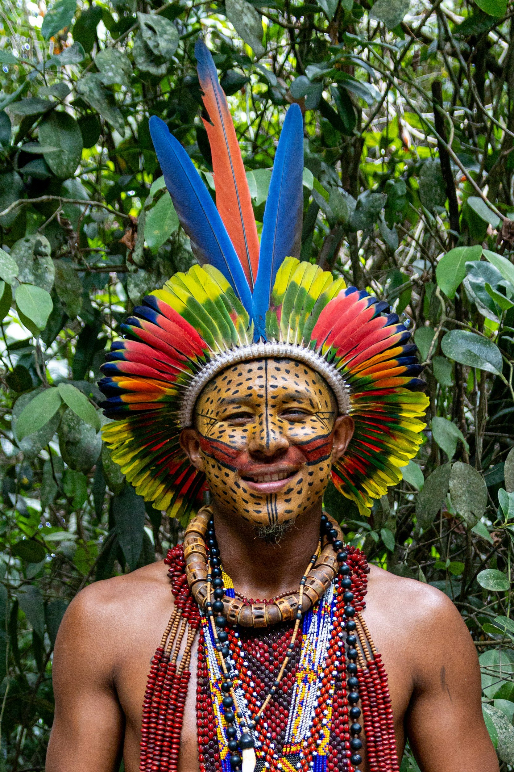 The Amazon's Best-Kept Anti-Inflammatory Secret: What the Shiripuno Tribe Taught Us