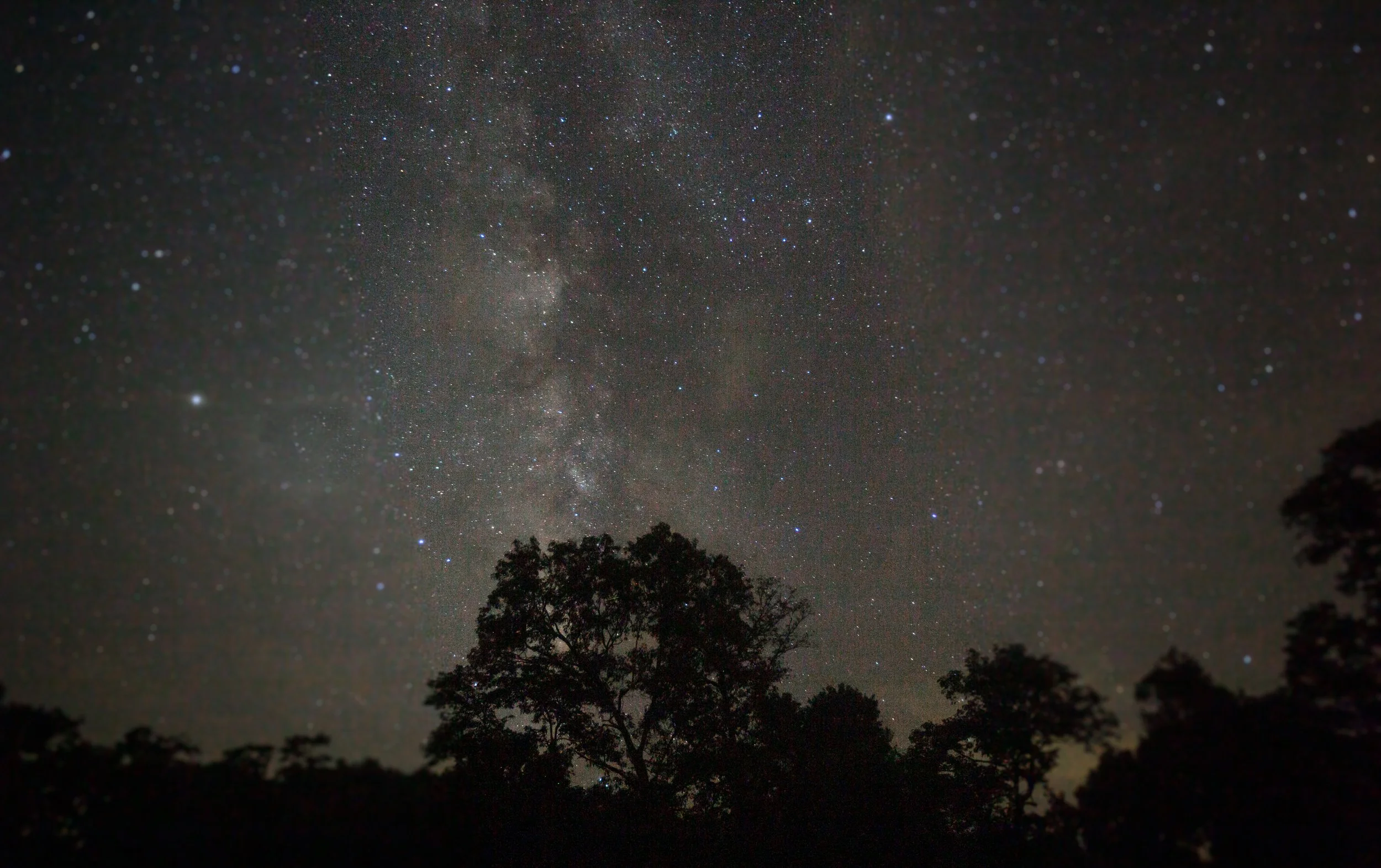 Mark Twain_Milky Way-1.jpg