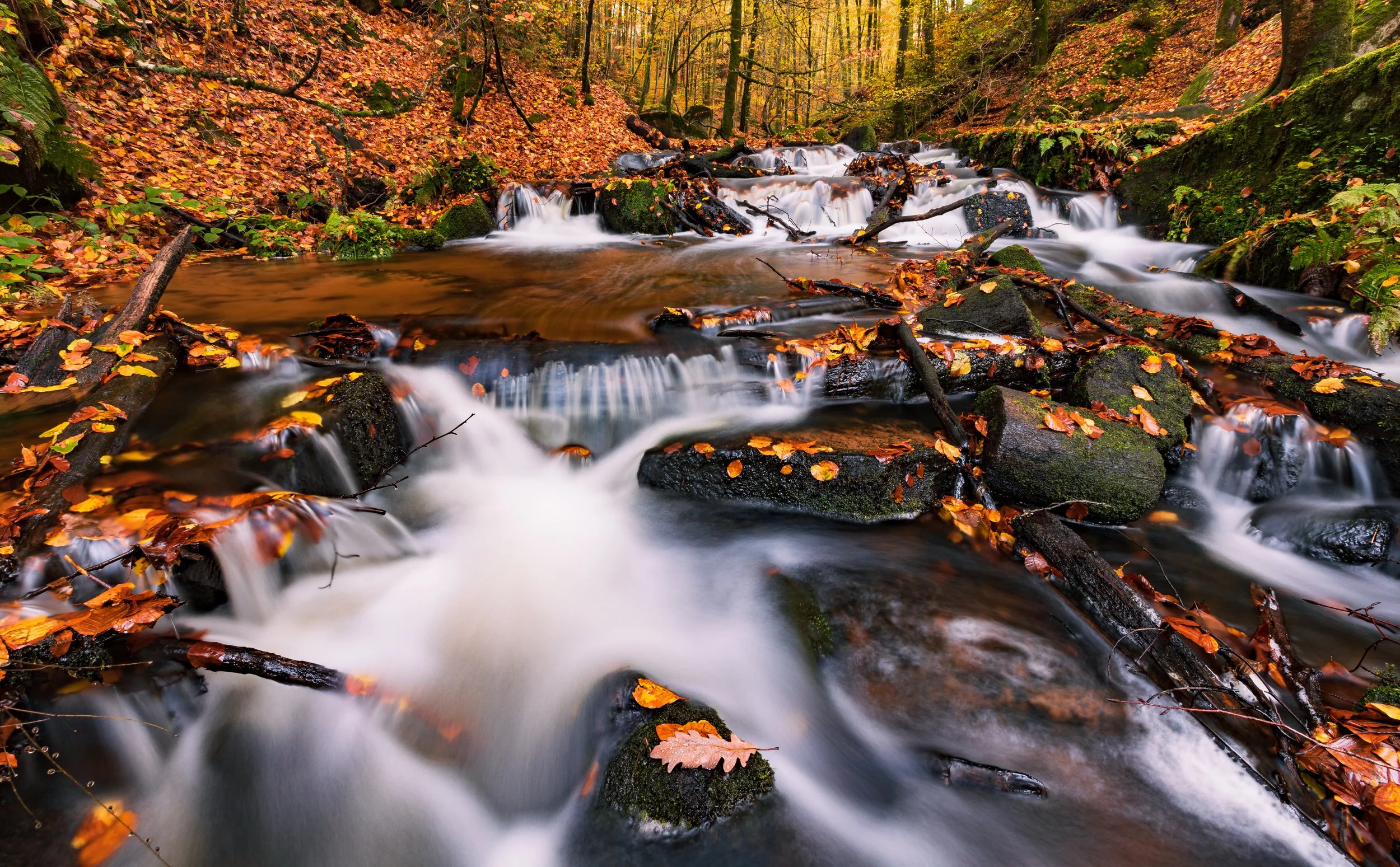 Landscapes 2022_HR-62.jpg