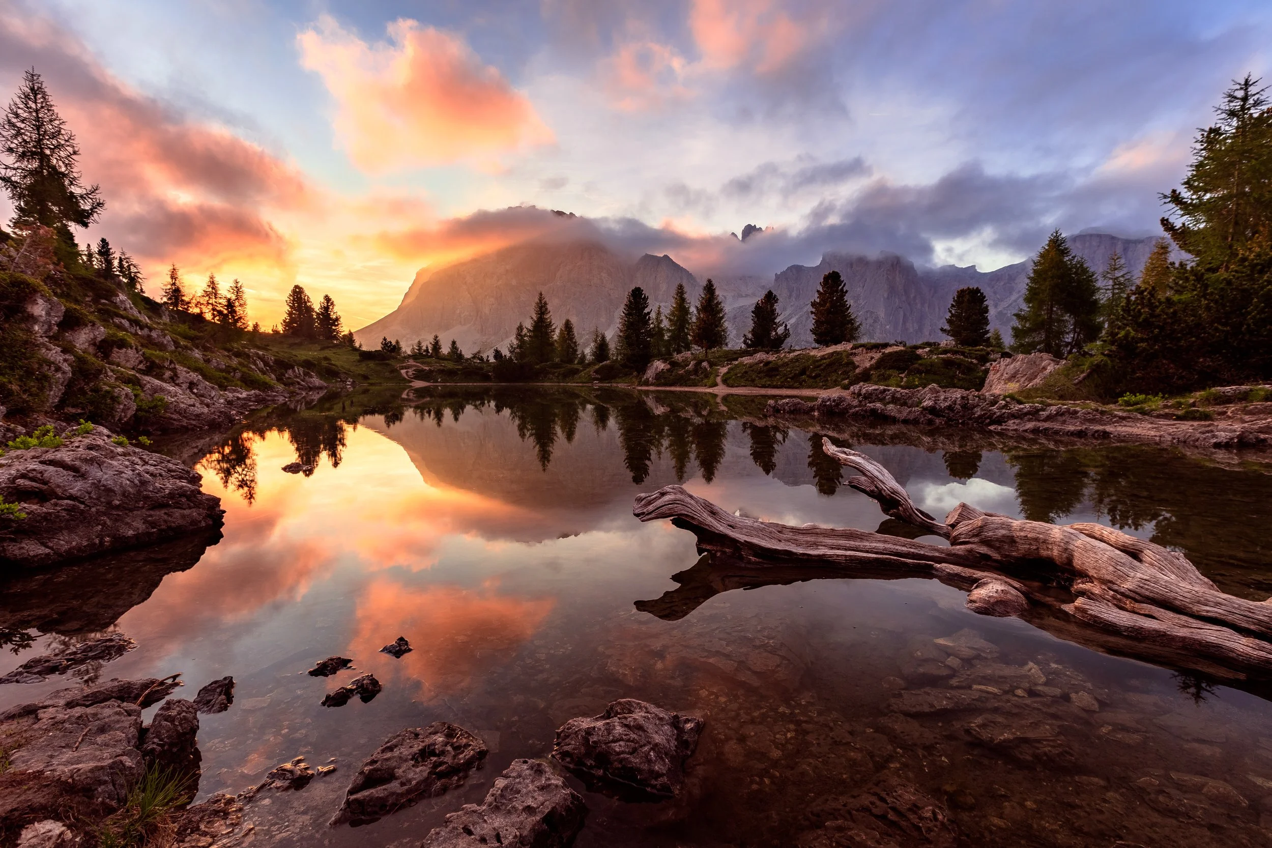 Landscapes 2022_HR-32.jpg