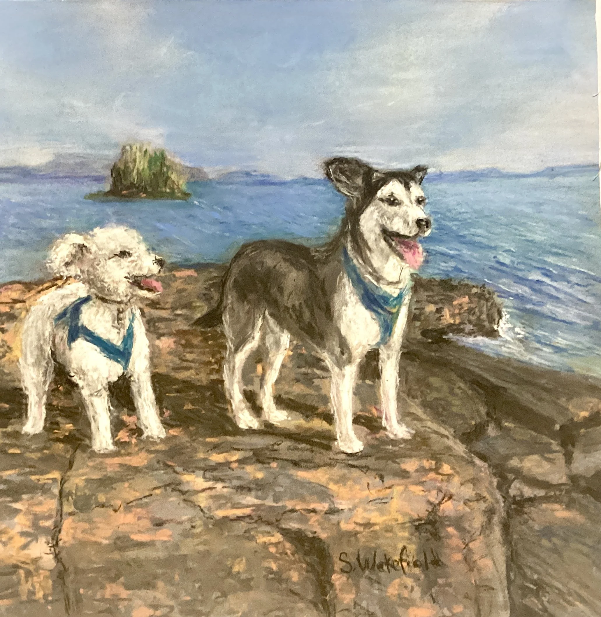 IMG_0726 Suzanne.jpeg