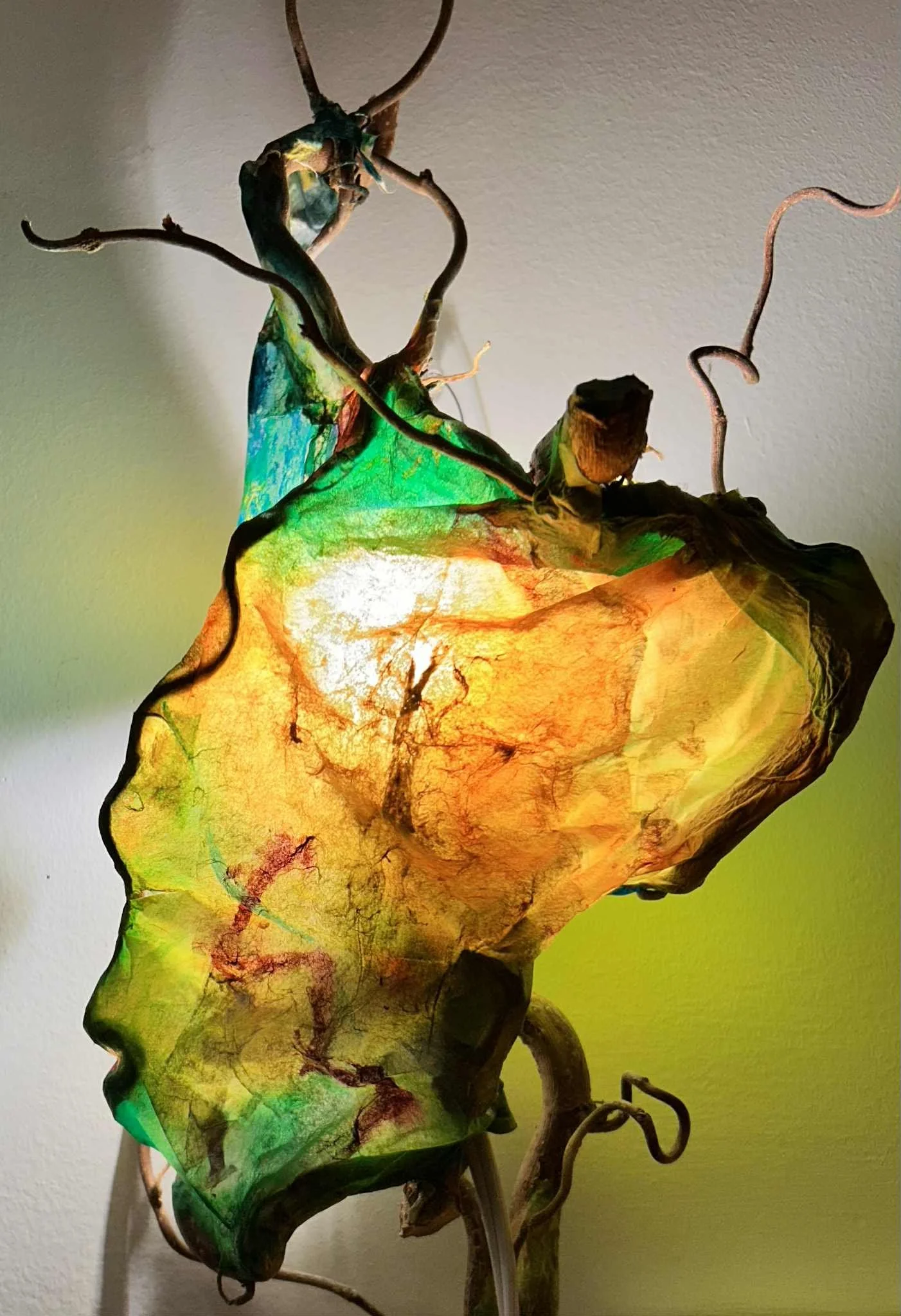 Patti Collins - Small Treasures Show 4.jpeg