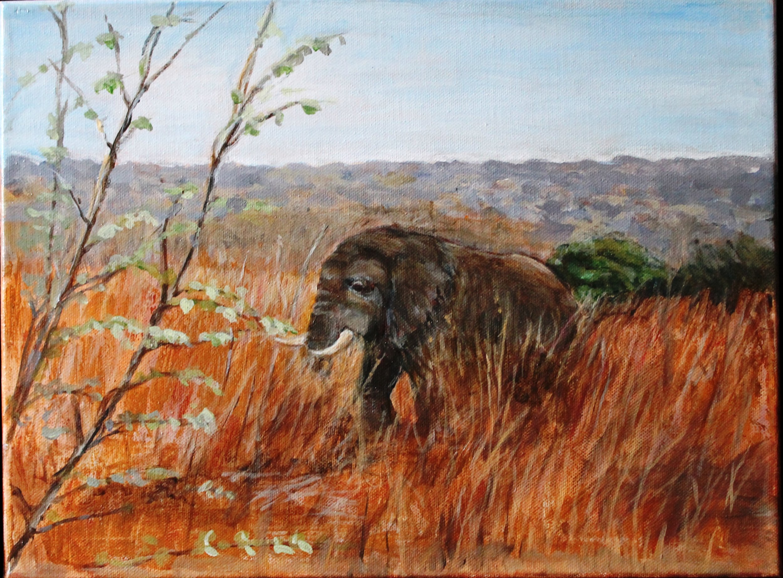 Urszula Rojek - Emerging Artist Feb 28 - May 1, 2026   