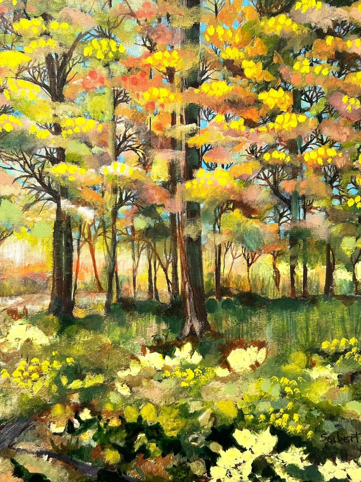 WhatsApp Image 2026-04-27 at 13.18.08 (5).jpeg