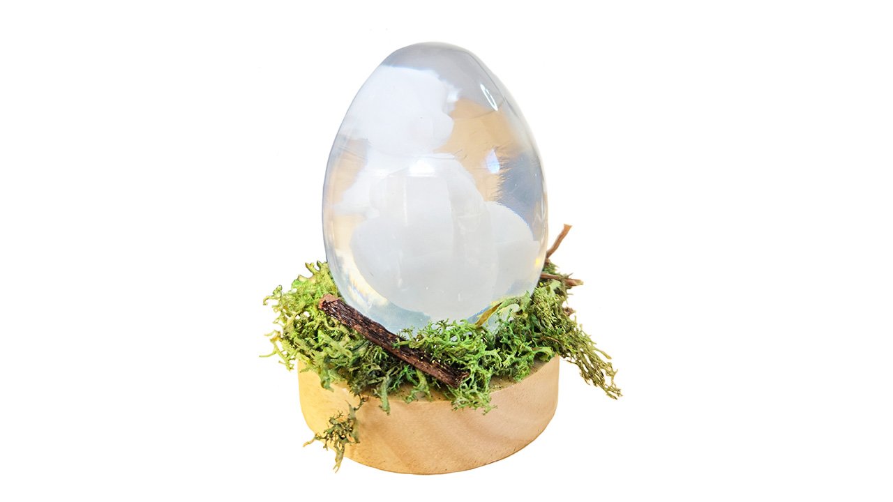 White Dragon Embryo 1.jpg