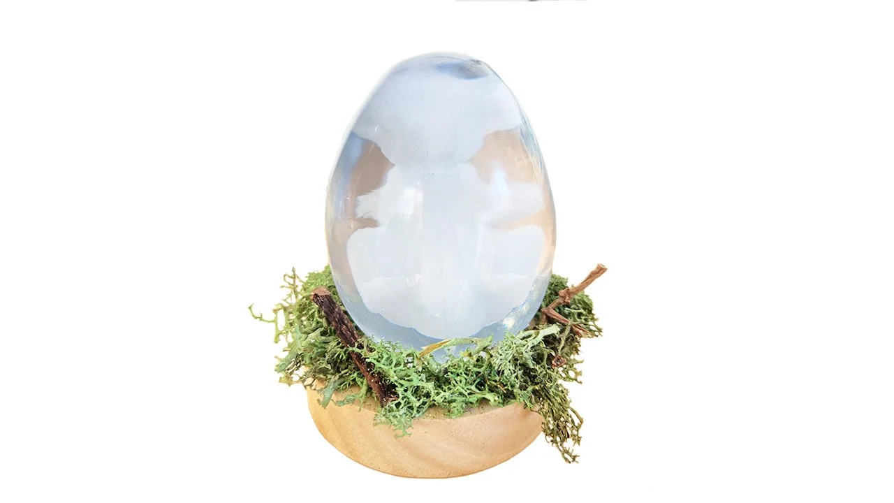 White Dragon Embryo 3.jpg