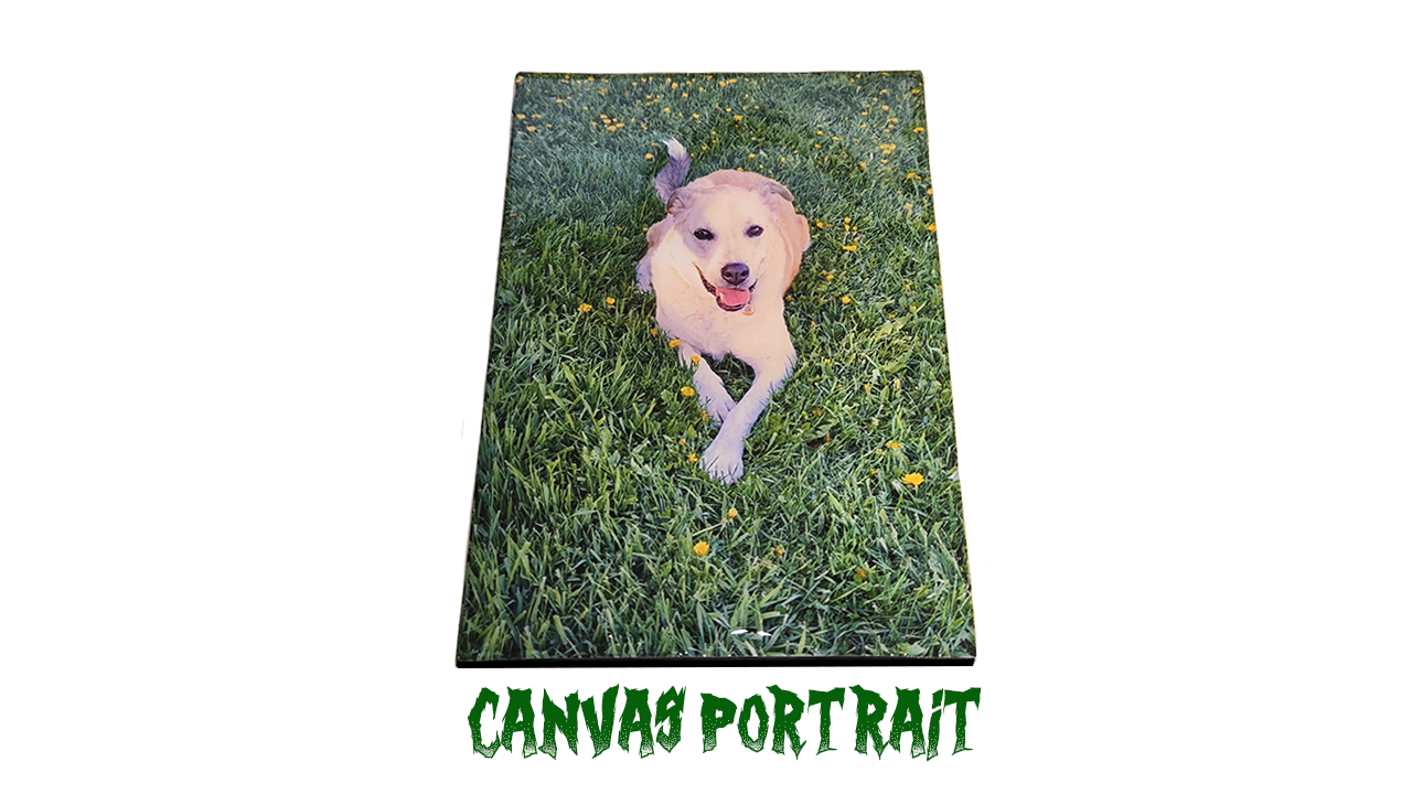 Canvas Resin Portrait.png