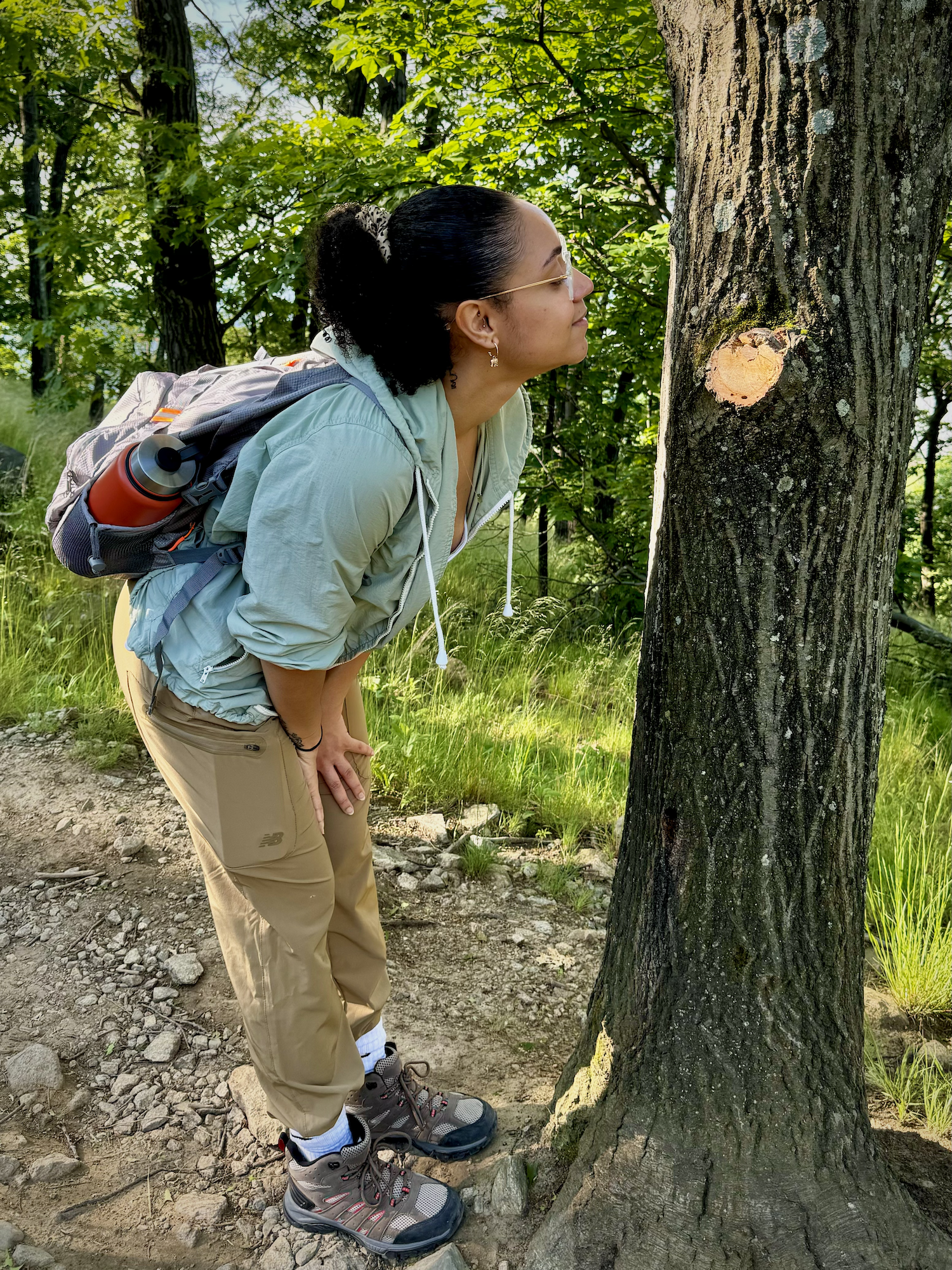 Things To Do on a Hike Besides Hiking: Slowing Down on the Trail