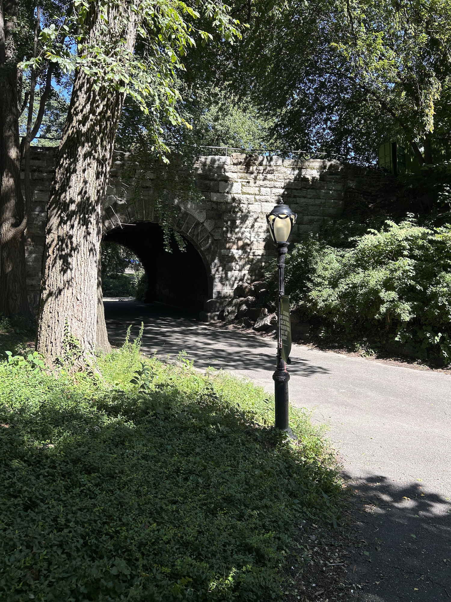 tree-lined walking path under stone bridge for clearing your mind, peaceful place to move without a destination