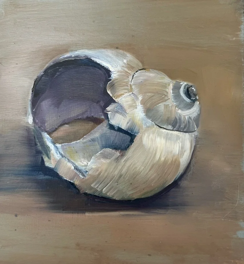 Snail Study, Oil on Paper, 8"x8", SOLD