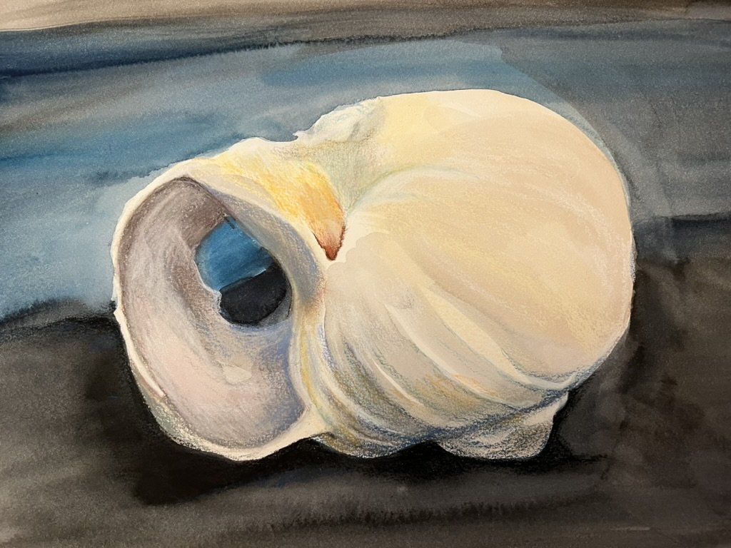 Snail Study, Watercolor and Pastel, 10"x14",  SOLD