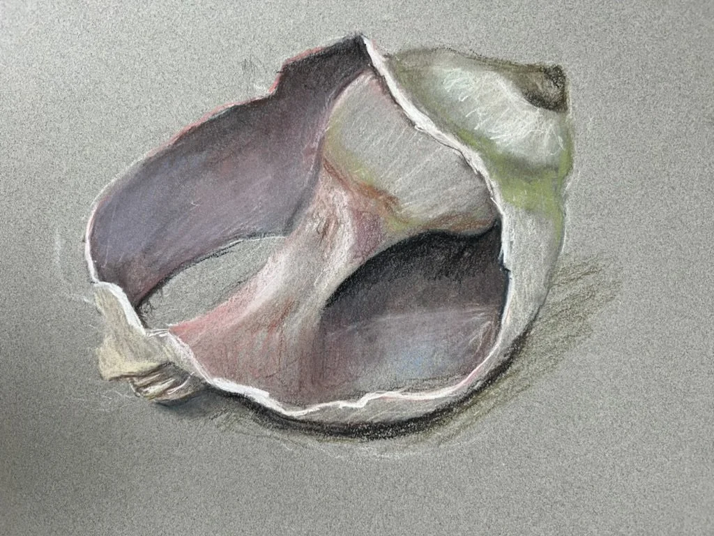 Snail Study, Pastel on Paper, 8"x10", $300.