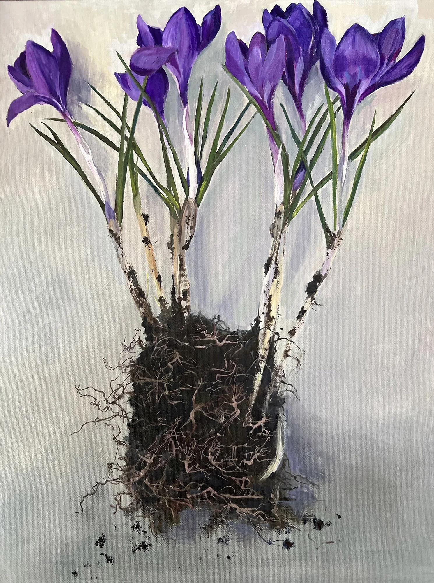 Spring Crocus with Spirit Roots, Oil on Canvas, 16"x20",  $800.