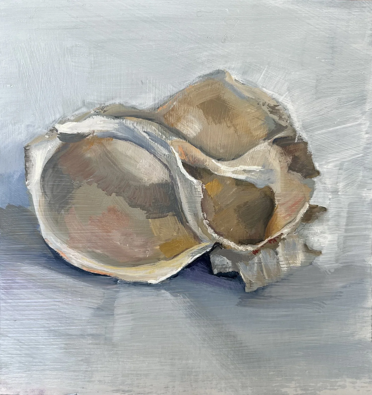 Wingaarsheek Found Shell, Oil on Paper, 8"x8", SOLD