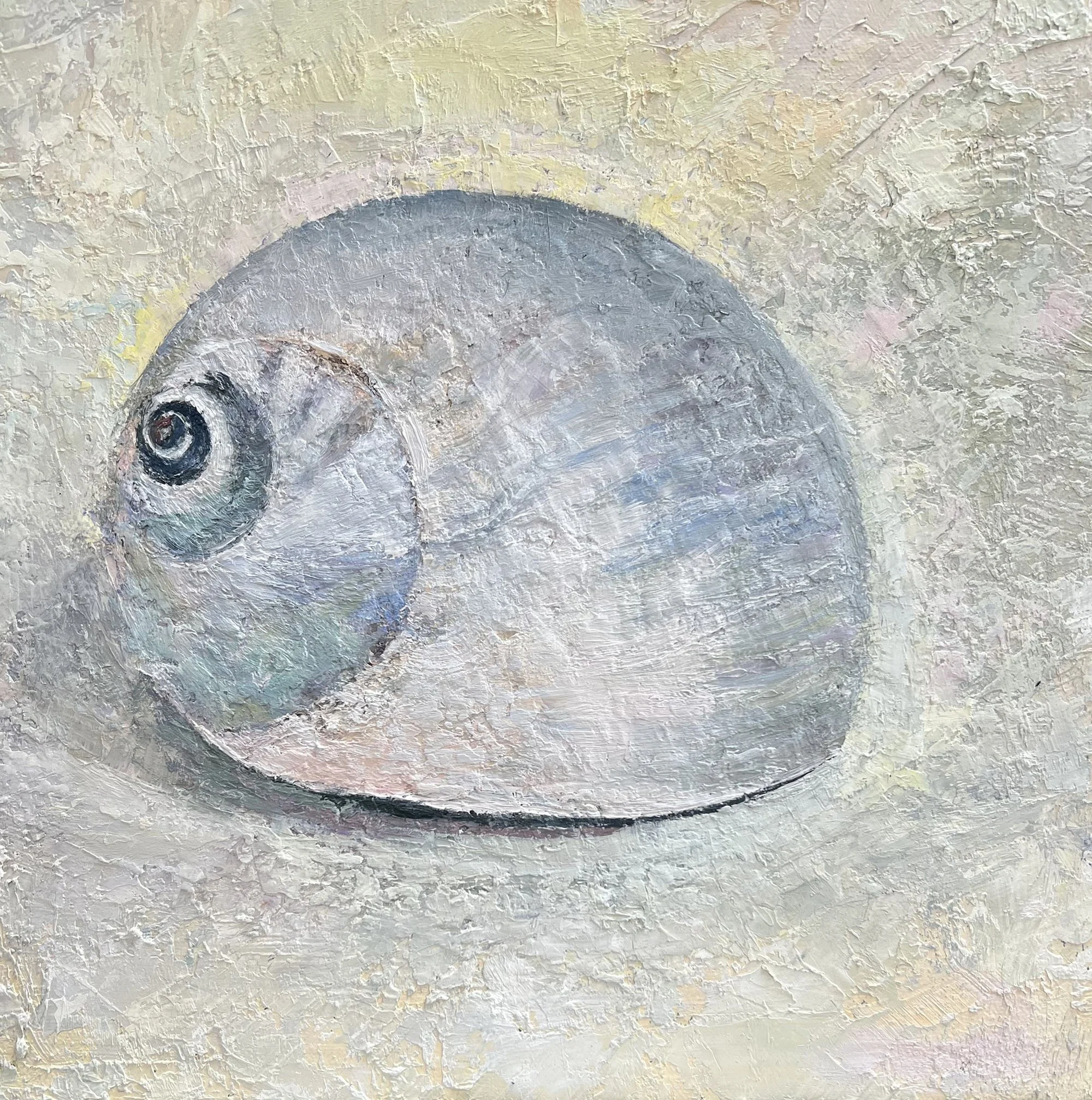 Moonsnail on White, Oil on Canvas, 16"x16", $600.