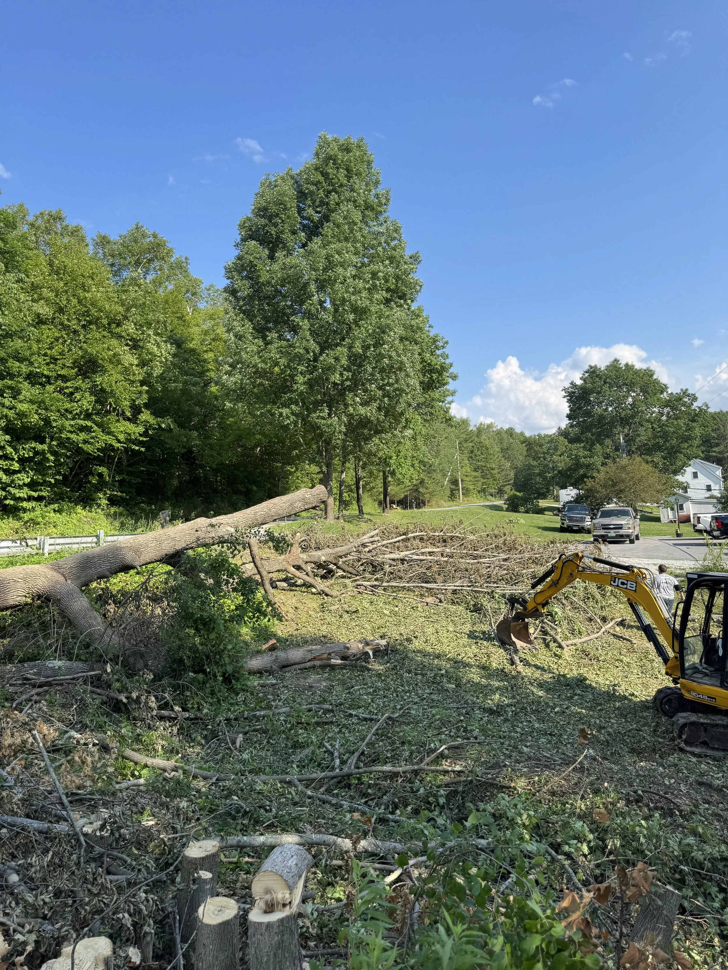 Mid 2 land clearing.jpeg