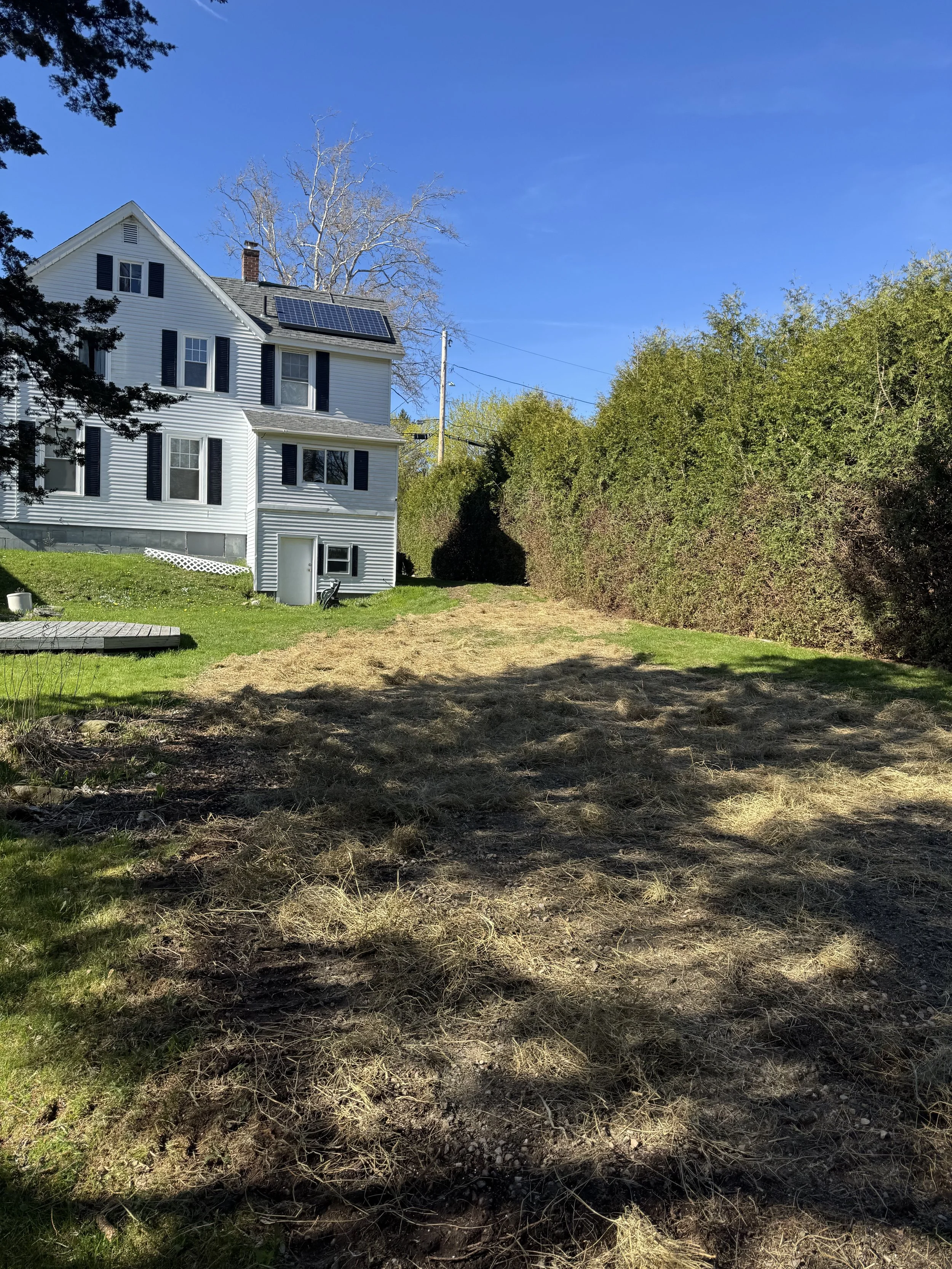 seeding pool demo.jpg