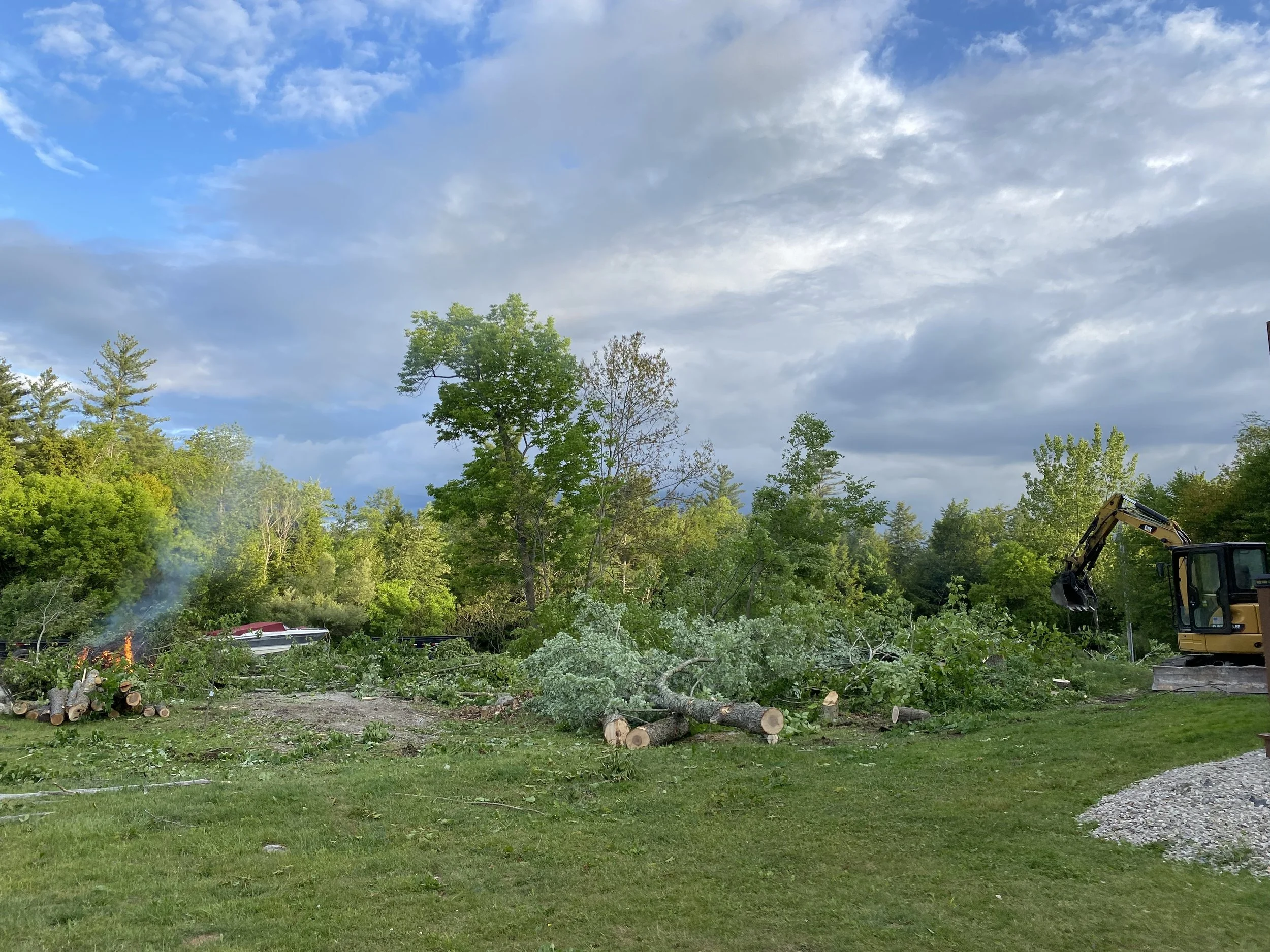 mid 1 clearing.jpg
