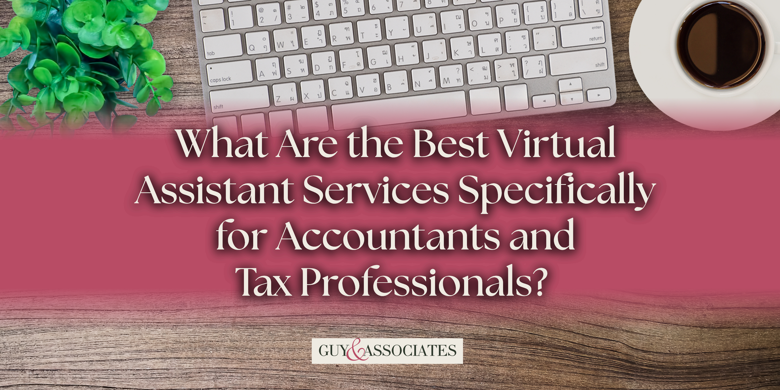 What Are the Best Virtual Assistant Services Specifically for Accountants and Tax Professionals?