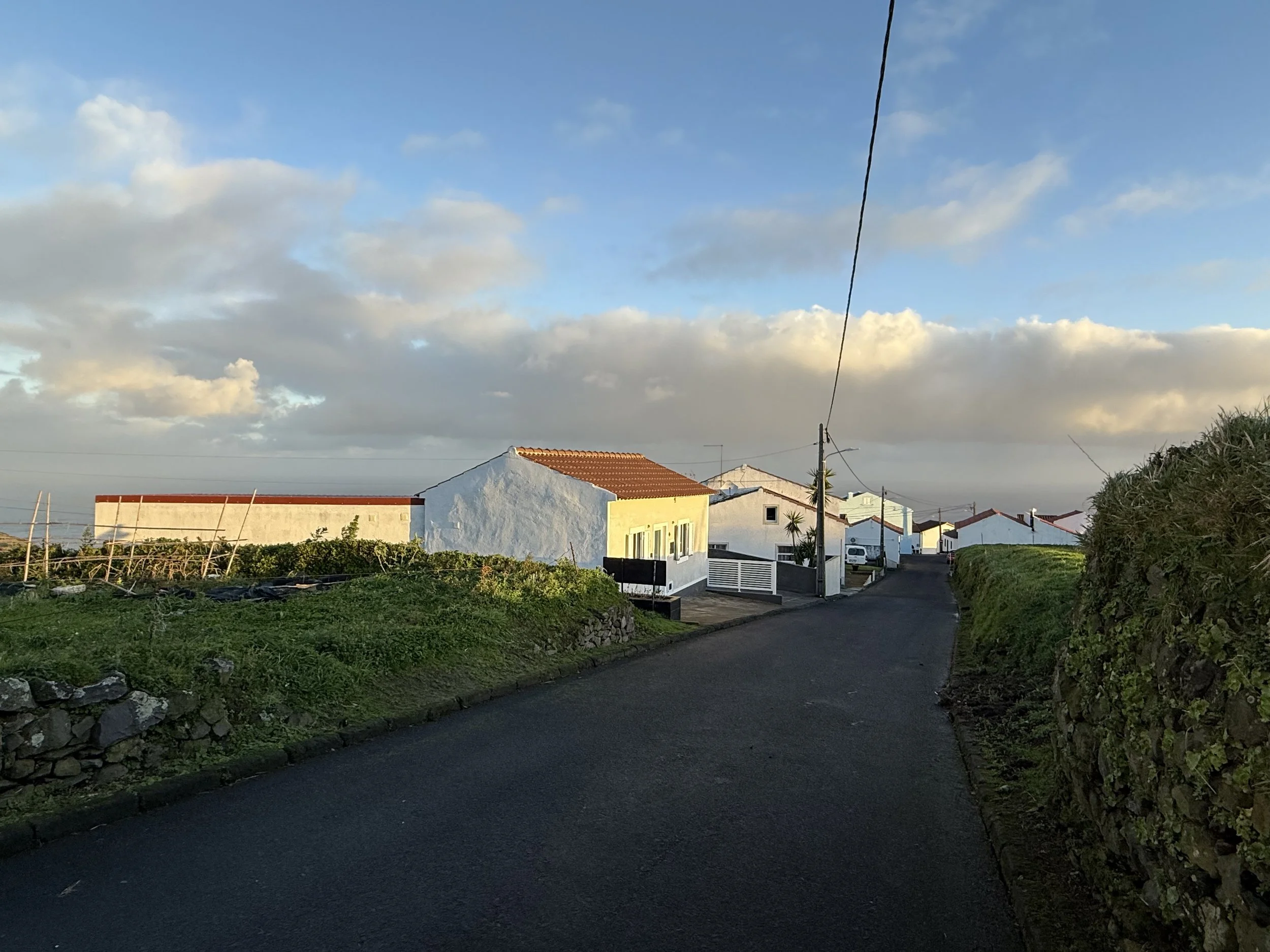 IMG_5676.jpeg