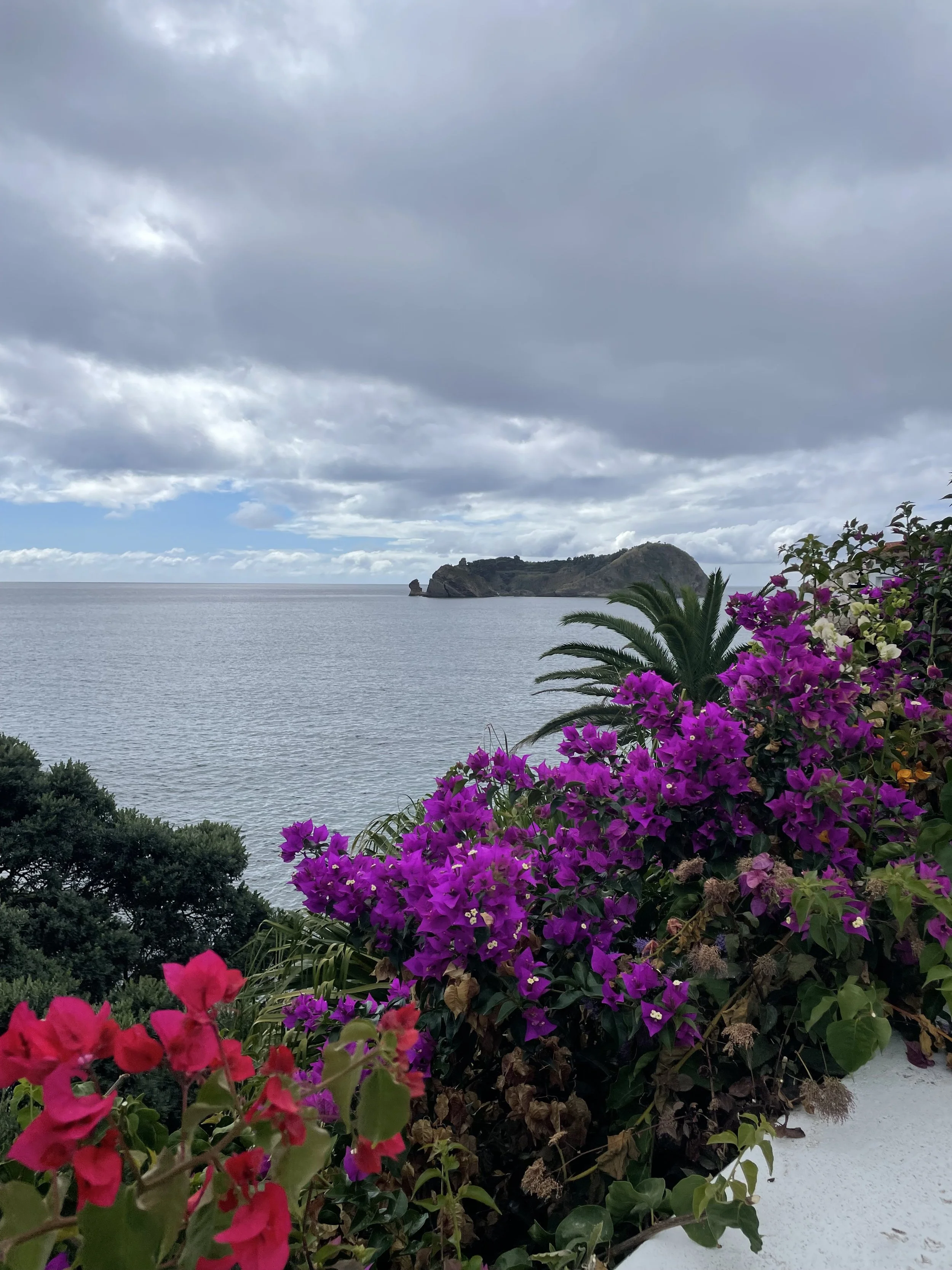 IMG_3708 2.jpeg