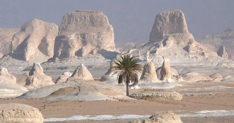 the-white-desert.jpg
