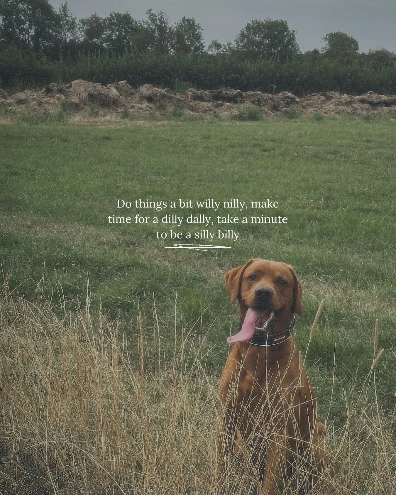 If your creativity is stumped, the words aren&rsquo;t coming, or you simply don&rsquo;t know where to start&hellip;

I think it&rsquo;s time to touch grass, my lovely. This is your sign to give your brain a break🌱

Pop ye phone off, pope ye trainers