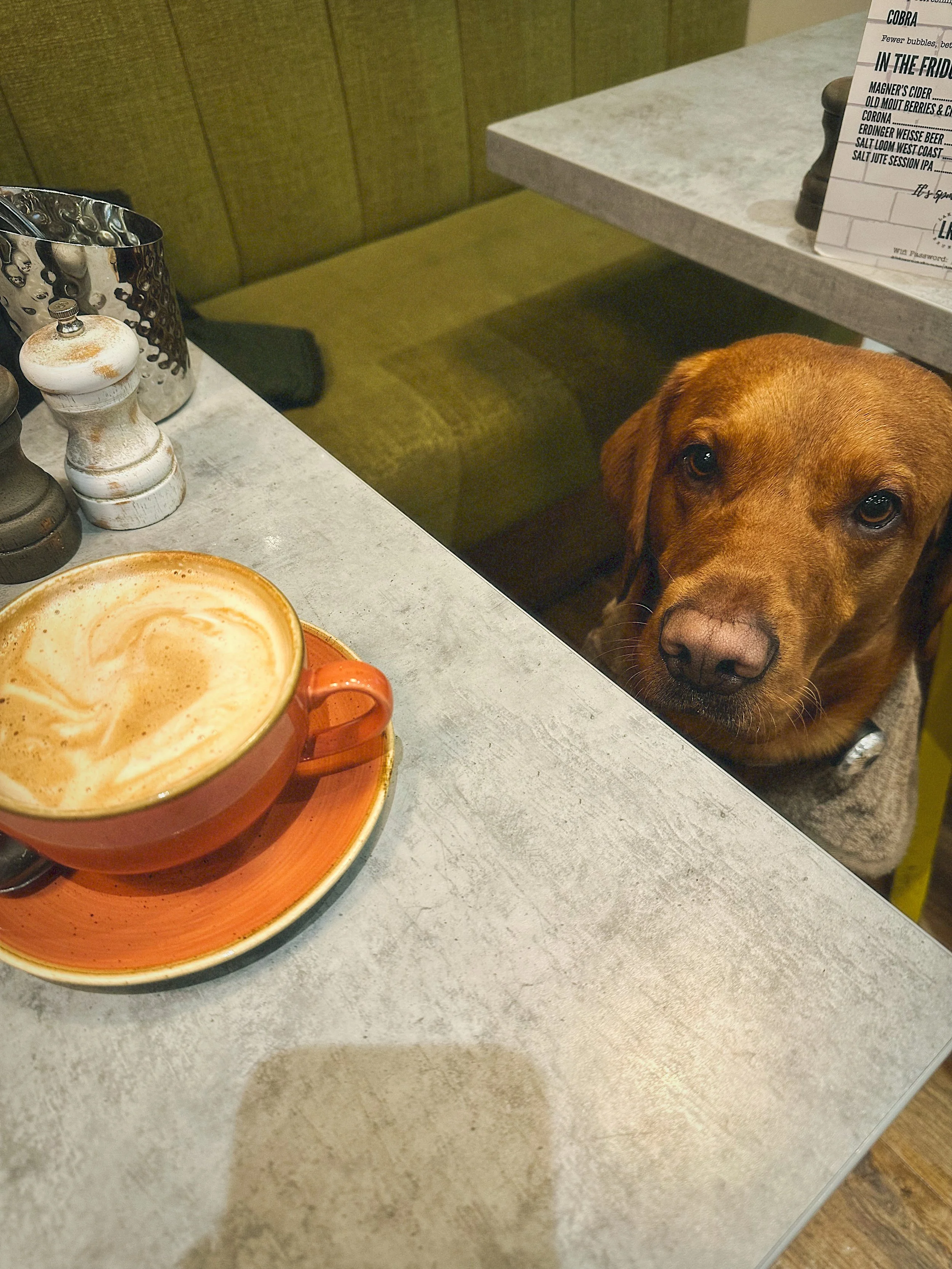 How do I develop a unique brand voice for my small business?</span>