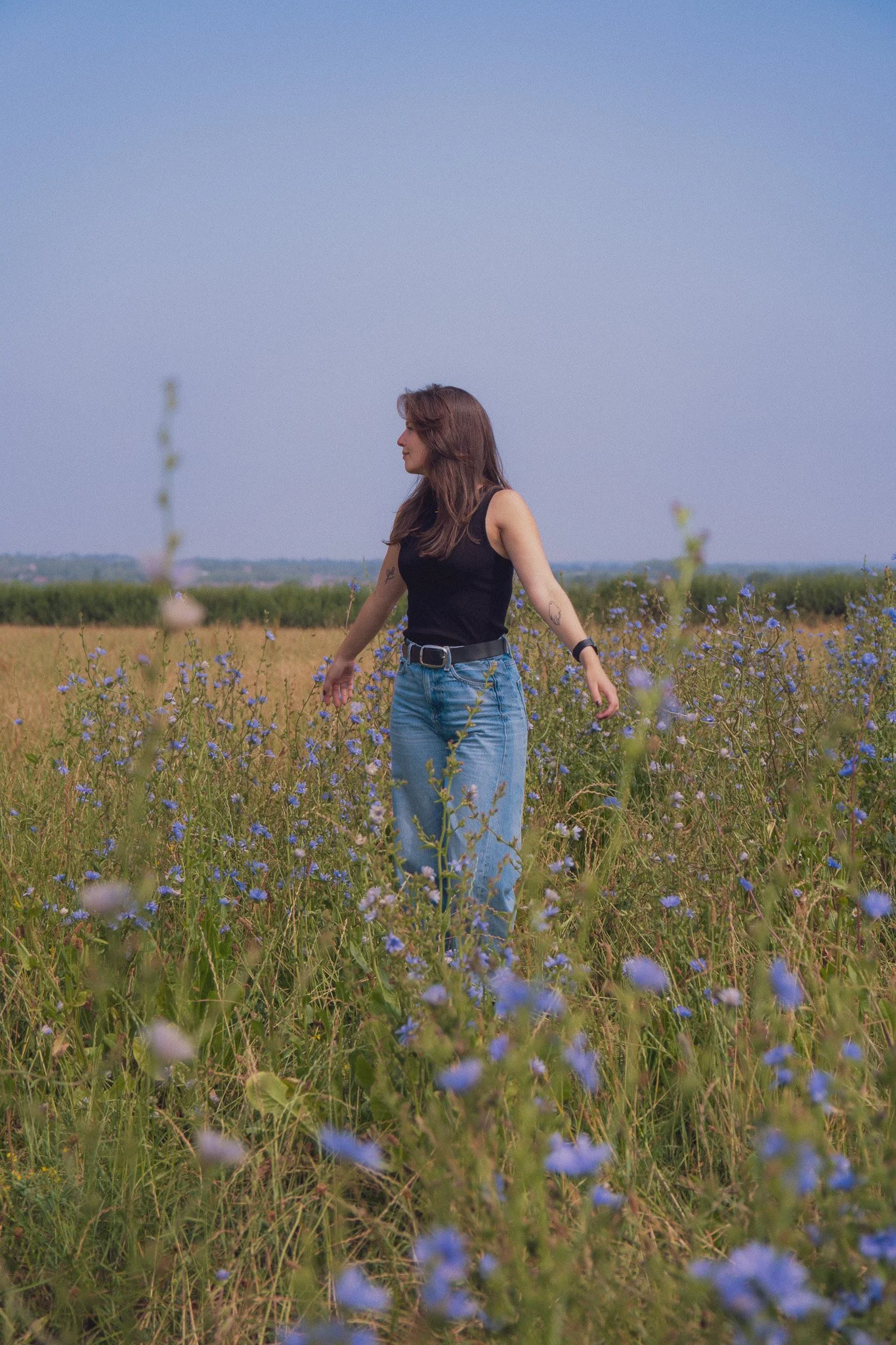 Hols from Just Custard Copy standing in a field with blue flowers