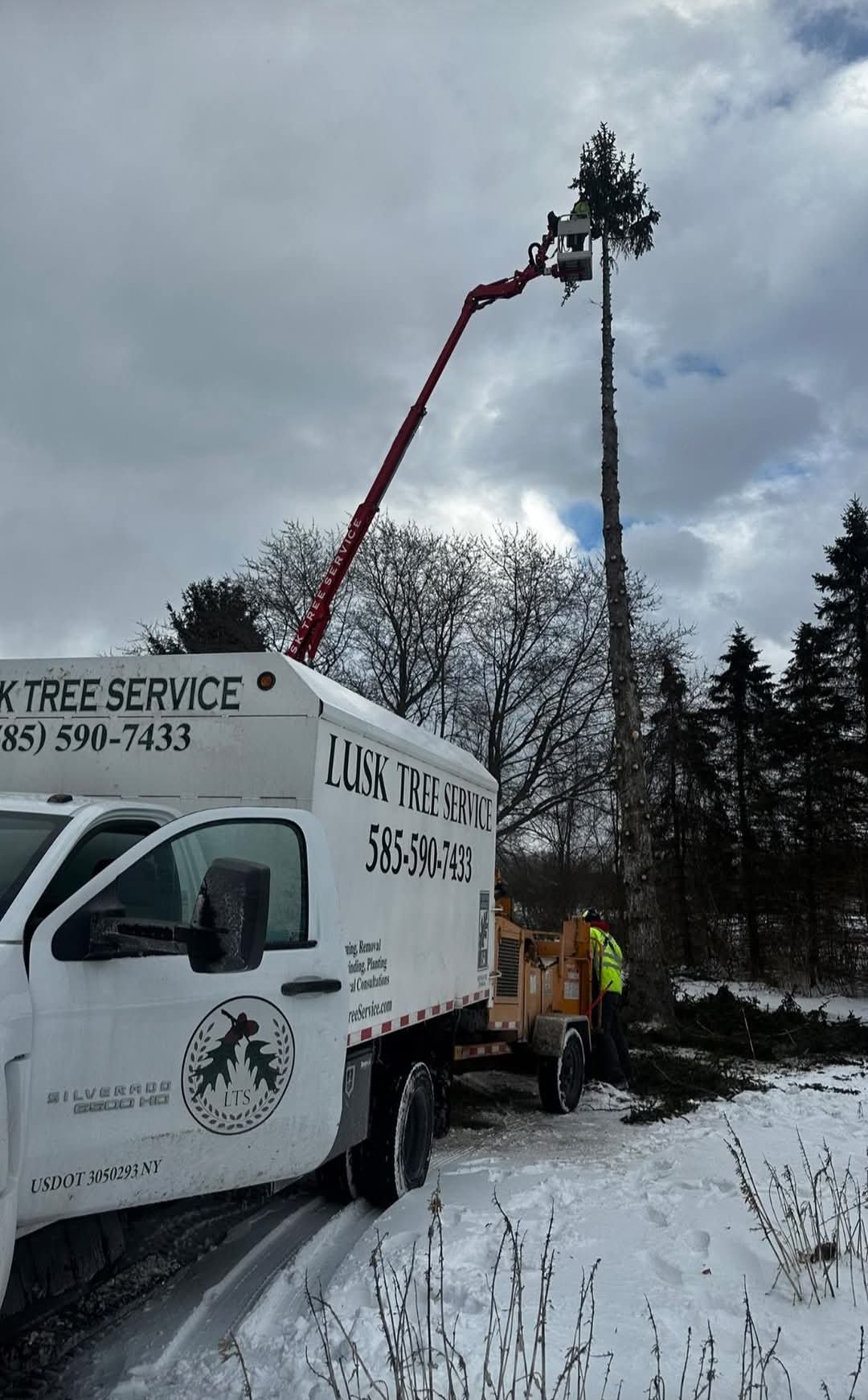 lift christmas tree.png