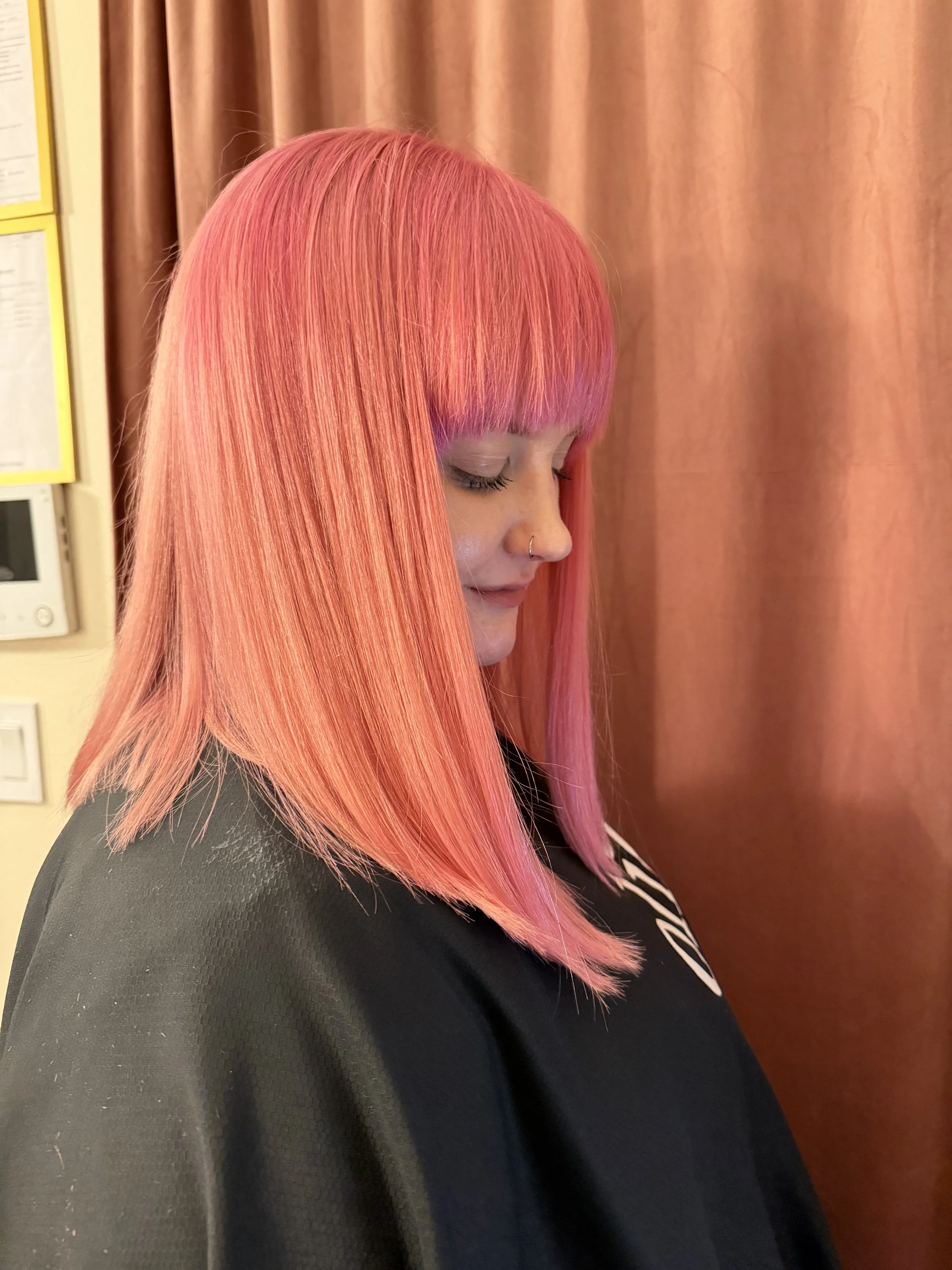 fashion color creative