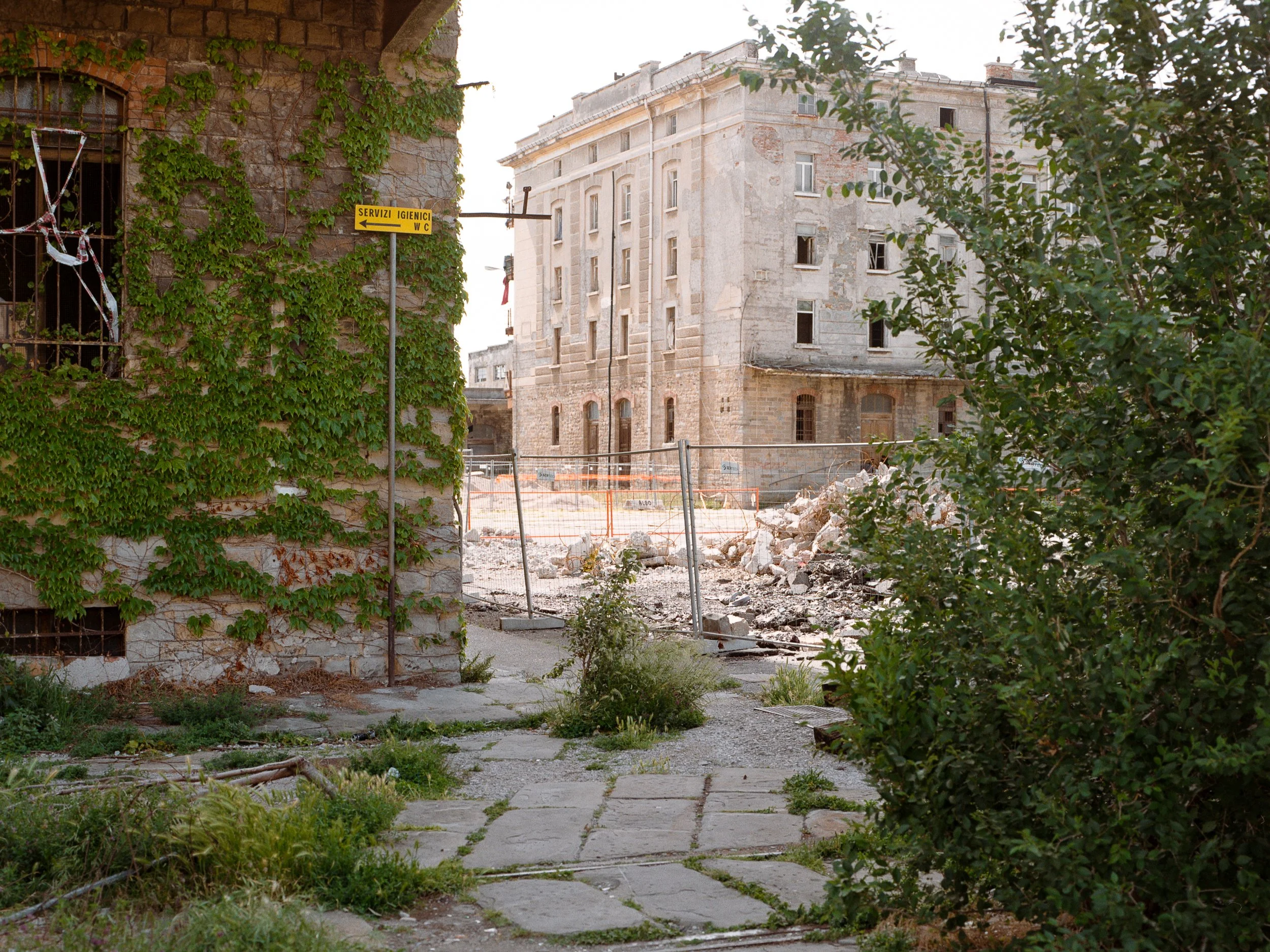 2025-06-18_4_3935-14-Modifica.jpg