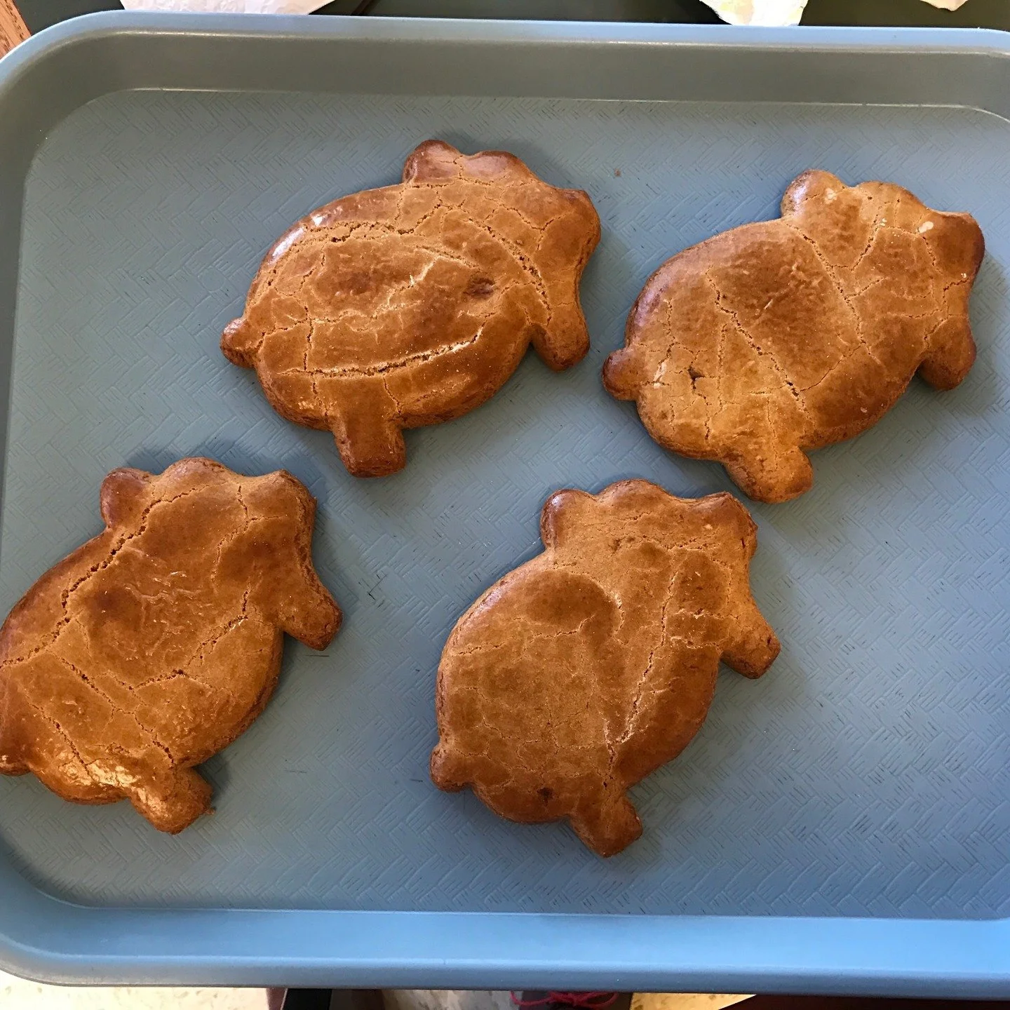 CHARLOTTE friends. I'll be in your queenly city on Monday, October 13, with the great @tommyltomlinson talking House of Smoke (and pig-shaped gingerbread cookies) @parkroadbooksclt at 630pm. Free merch for a few @truesouthtv fans.