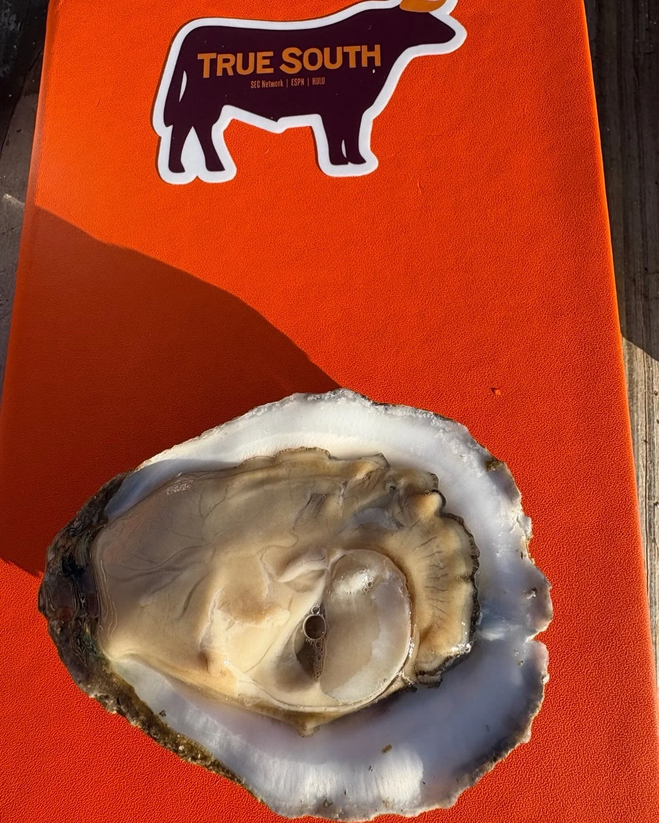 OCEAN SPRINGS! Coming your way this Wednesday evening at 6PM @wamamuseum Mr @thejulianrankin and I will talk House of Smoke, screen our @truesouthtv episode about your town, and the boys from @eaglepointoysterco will shuck these beauties. Free and op