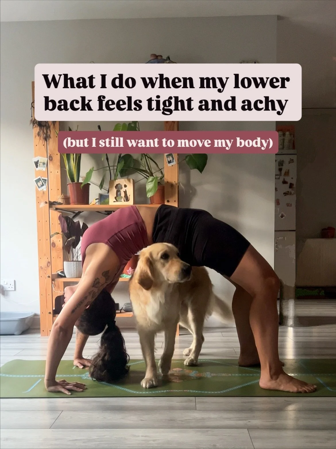 The last one saves me every time 😌

These are my go-to things for those days when my back feels tight, sore, or tired &mdash; but I still want to move.

And as a yoga teacher who&rsquo;s been practicing and teaching for 5+ years, trust me&hellip; I&