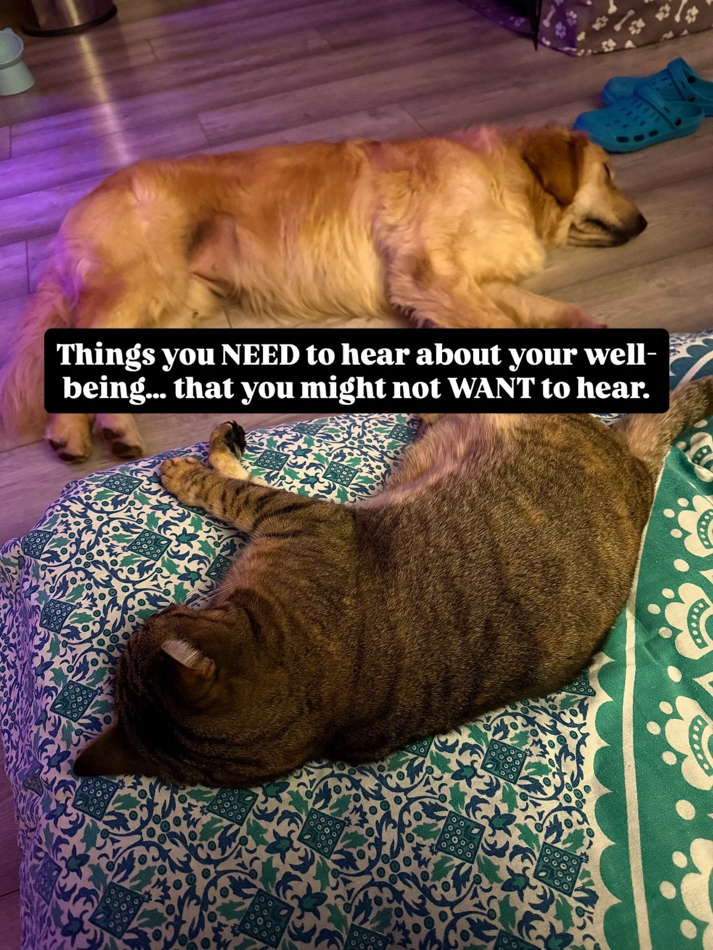 Take what you need. Leave the rest 💟