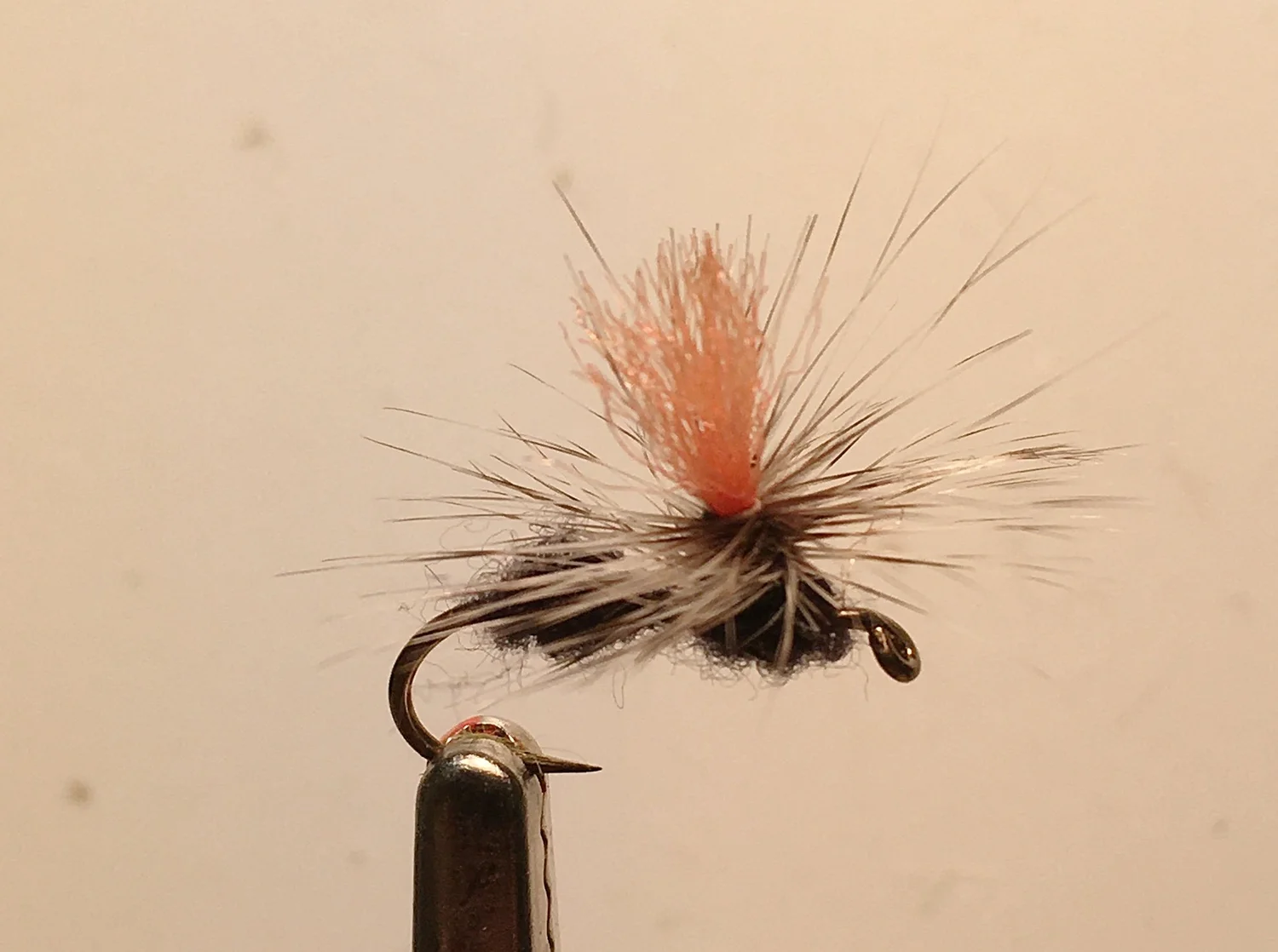 Beginner’s Fly Tying: Ant Pattern — Potomac Valley Fly Fishers
