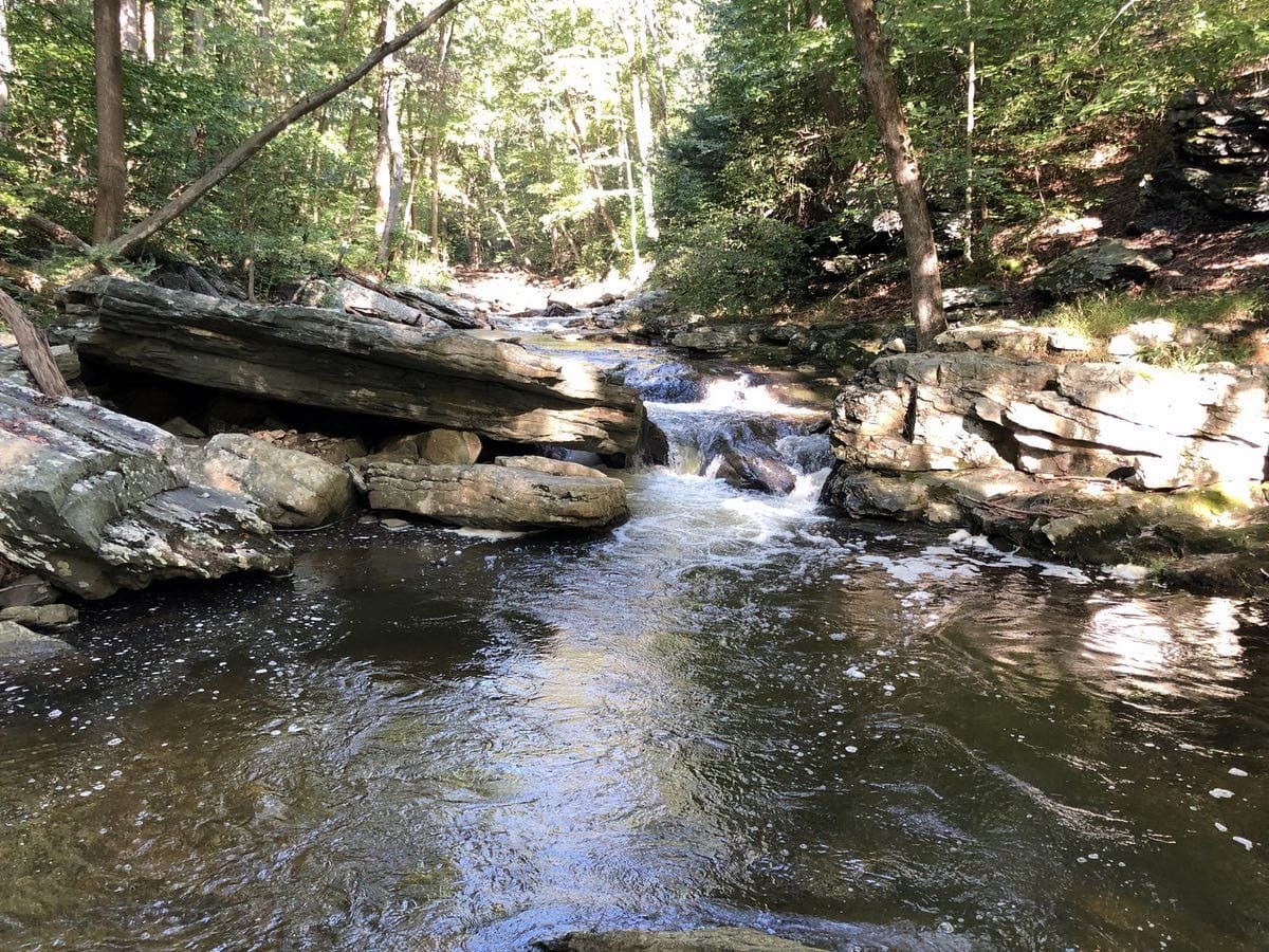 Northern FredCo waters
