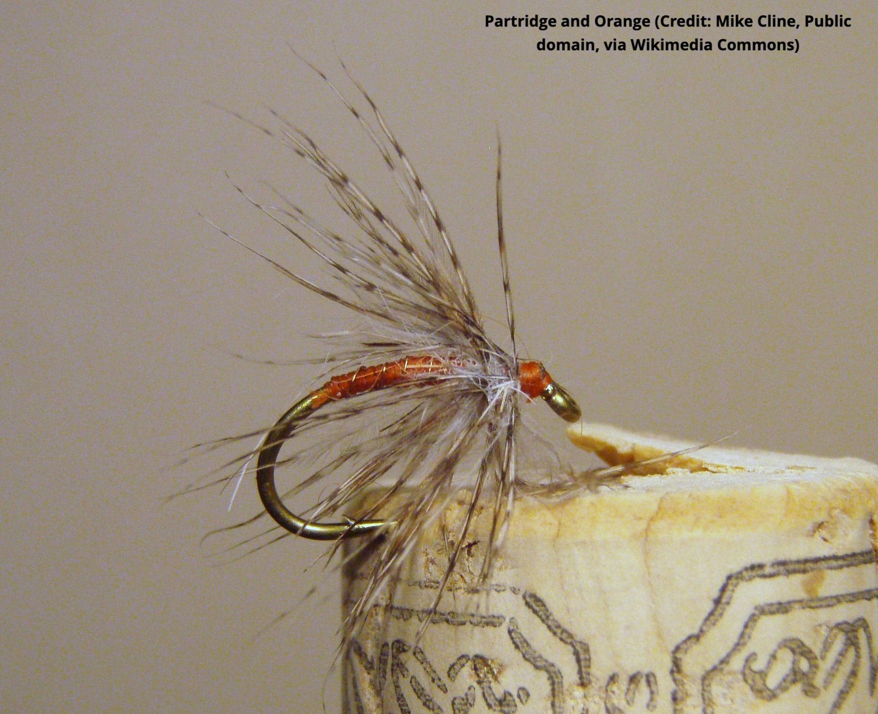 Partridge and Orange (Credit: Mike Cline, Public domain, via Wikimedia Commons)