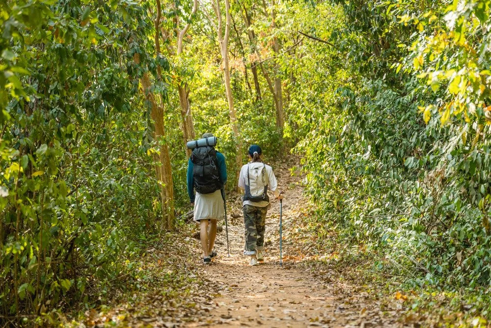 Two people hiking in a forest.