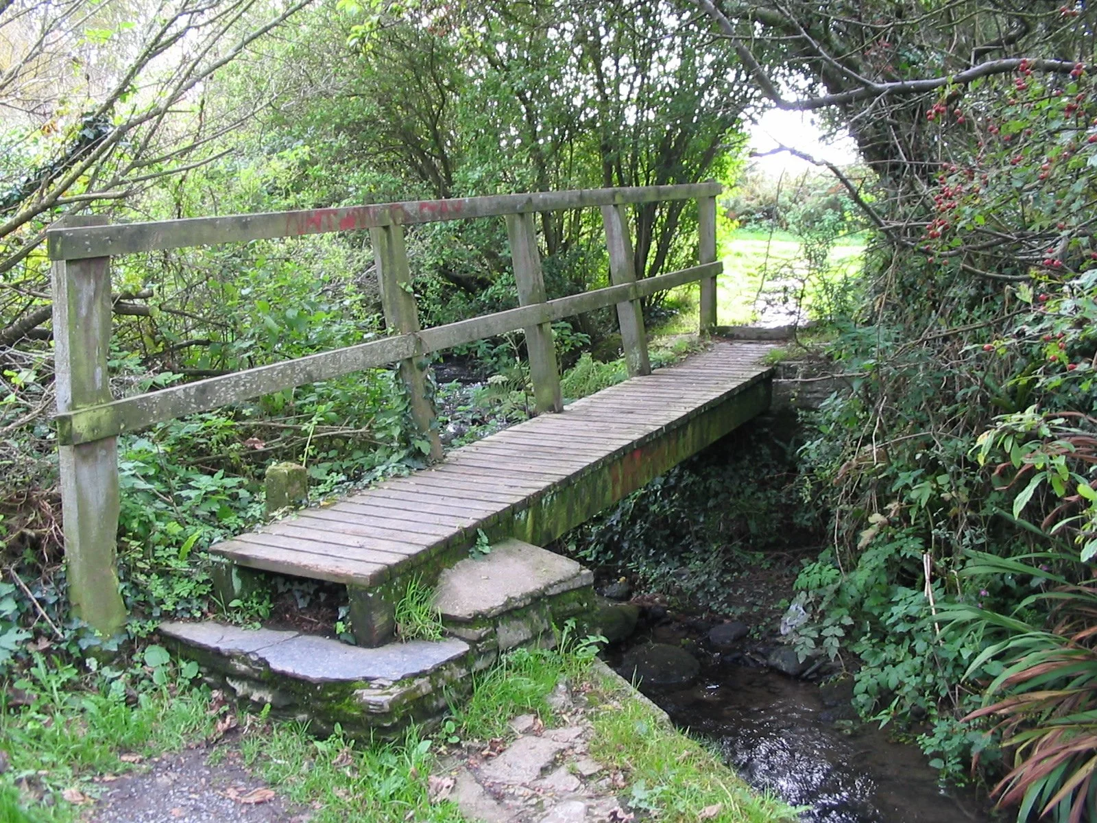 Petit pont en bois traversant un ruisseau, entouré de végétation luxuriante.
