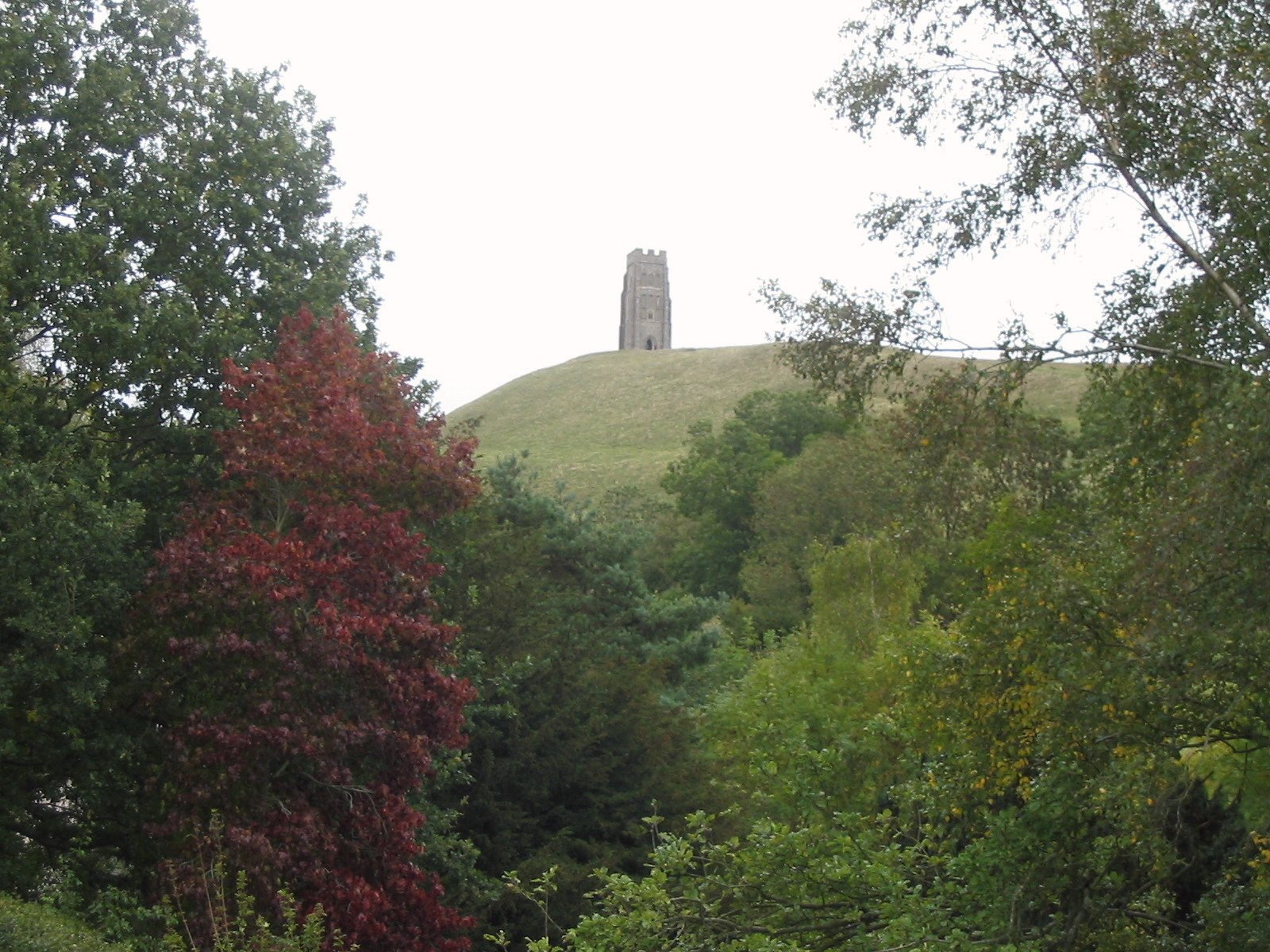 Une colline avec une tour en pierre au sommet, entourée d'arbres et de feuillage.